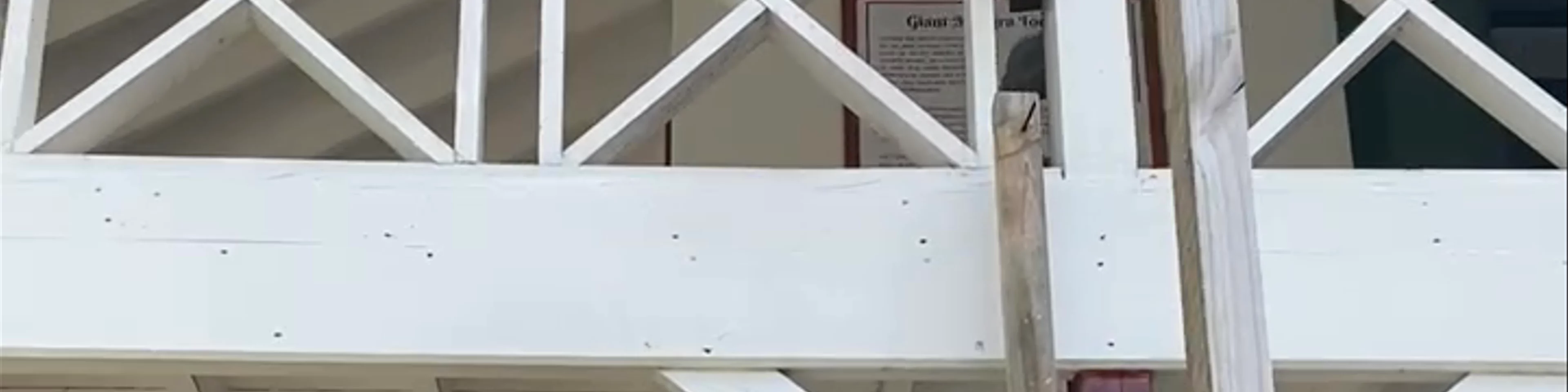 Visitor Shelter