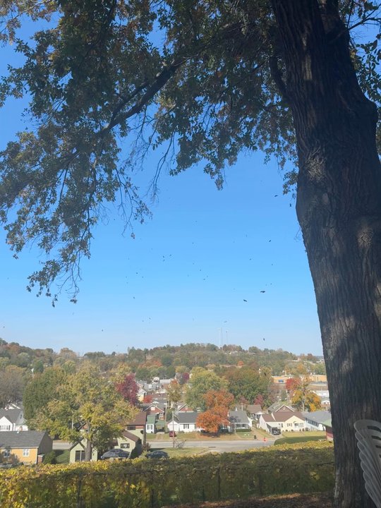 Vintage Restaurant - Try their French onion soup!  This is the view outside the restaurant. - New American Near Me - Hermann, Missouri