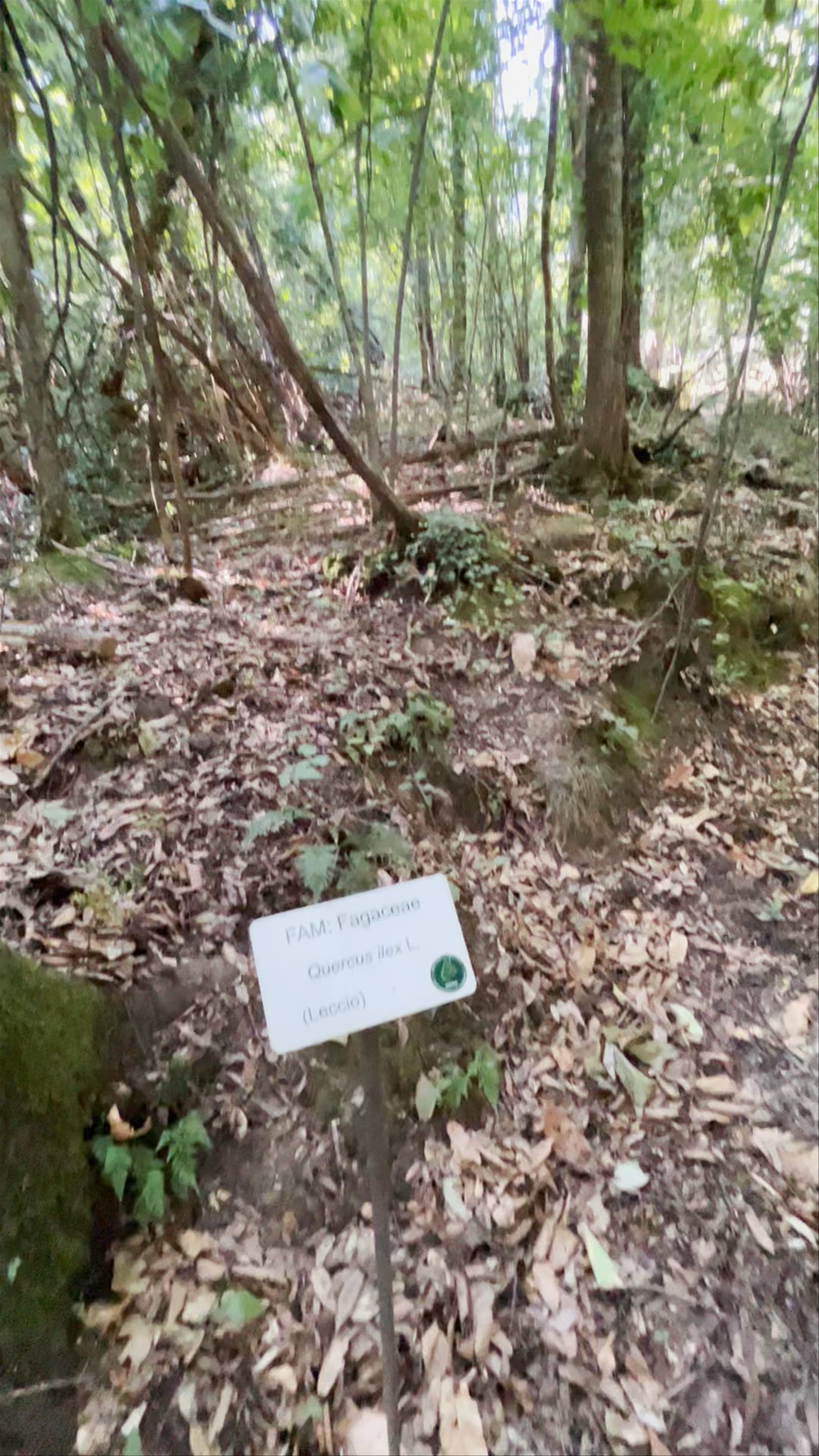 Riserva Naturale Statale Montecellesi