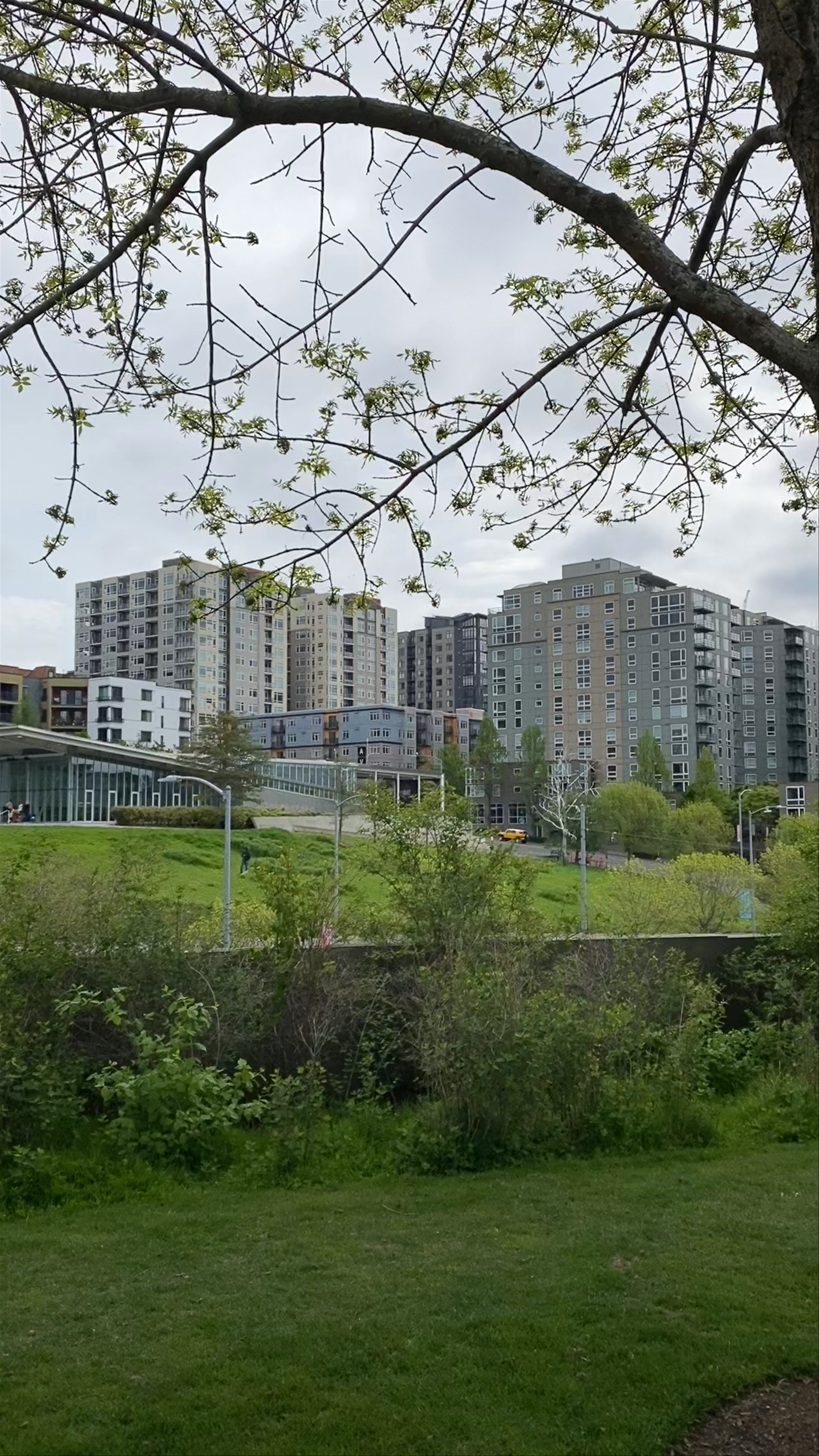 Olympic Sculpture Park