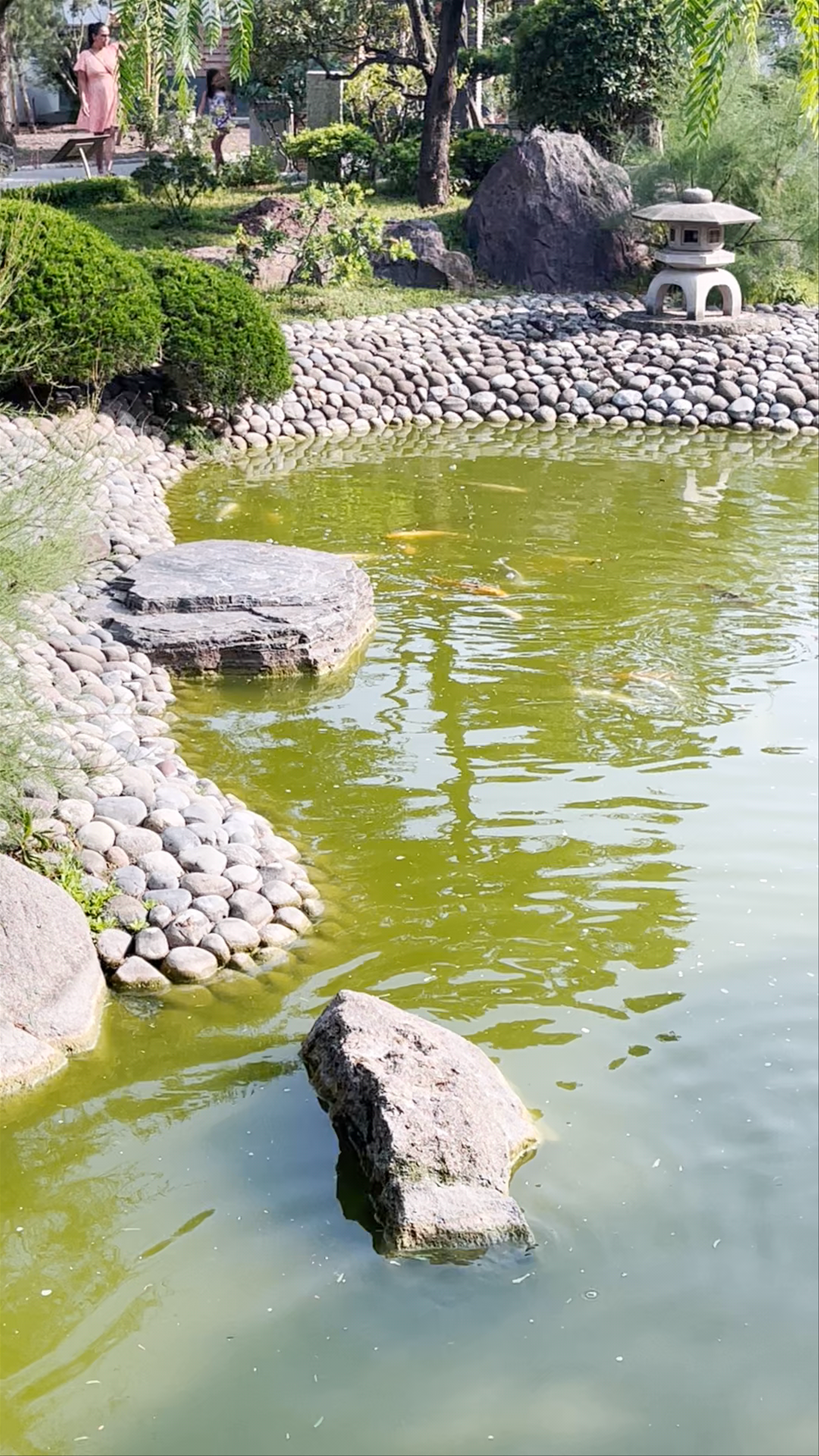 Princess Grace Japanese Garden