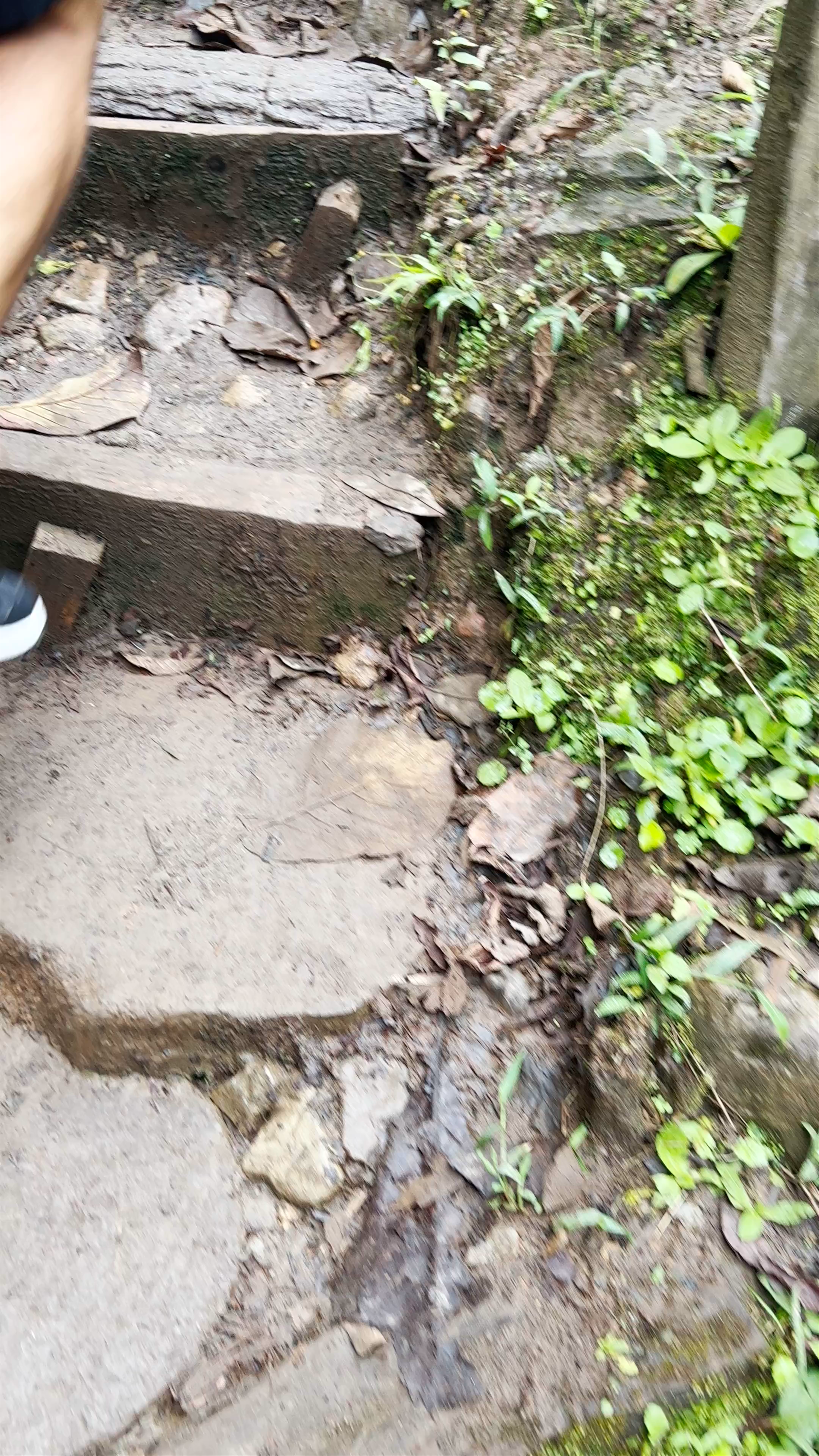 The Lost Waterfalls / Las Tres Cascadas