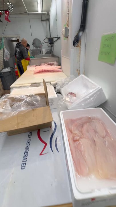 J & D Seafood - Seafood Markets Near Me - San Pedro, California