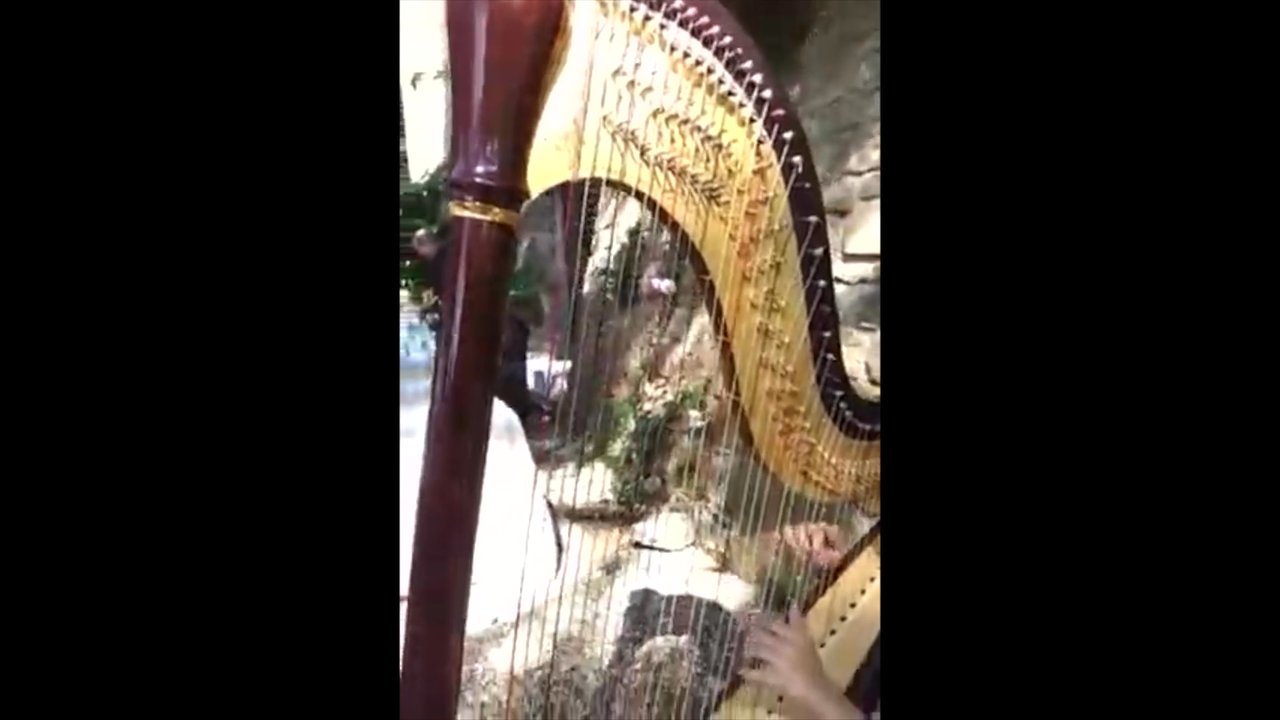 The Florence Harp Collective - Wedding in Arezzo - video 2