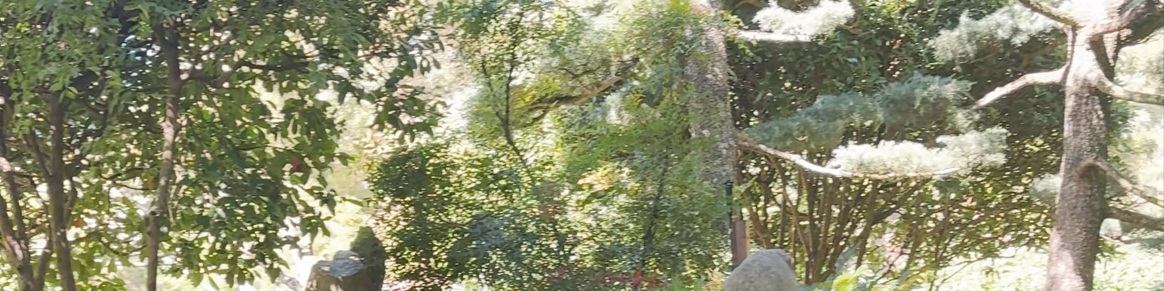 Himeji Gardens