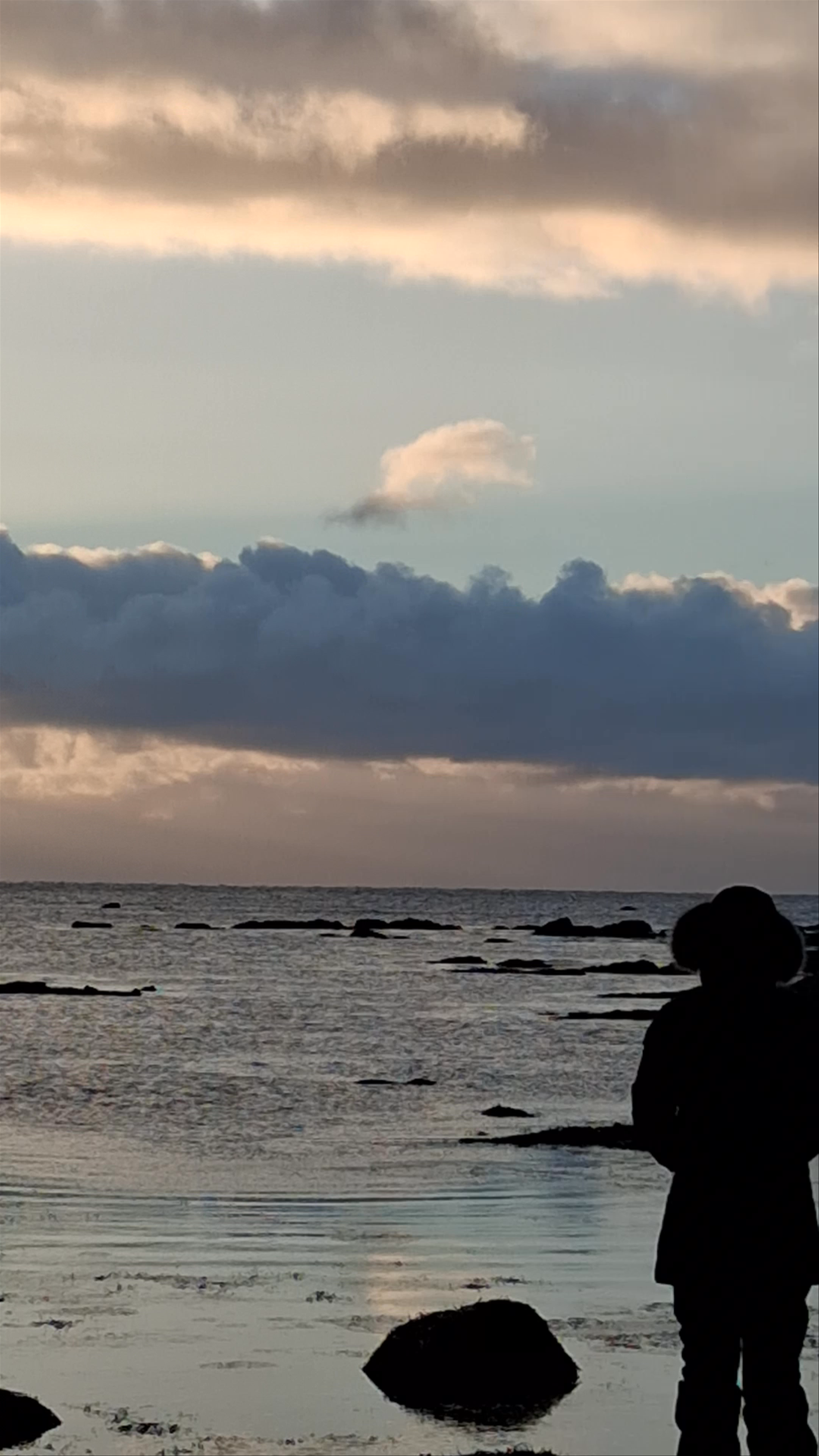 Ytri Tunga Beach: Quiet Coastal Reflections in Iceland