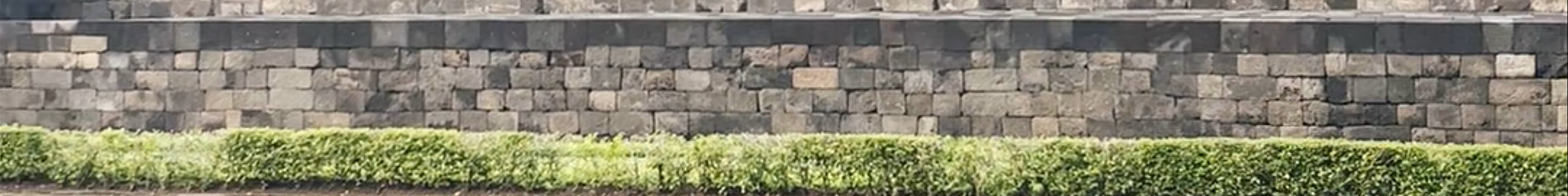 Tours & experiences in Yogyakarta