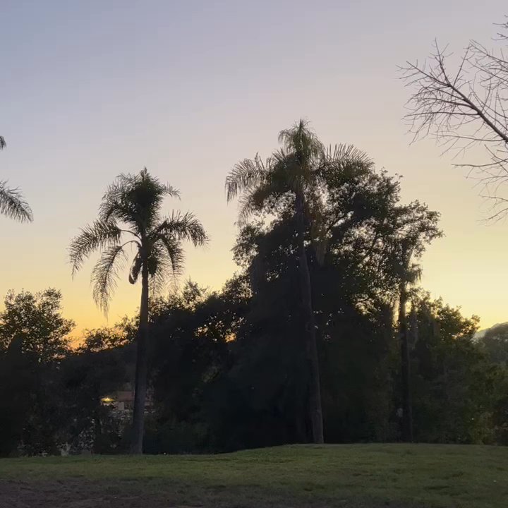 Tarragona Open Space - Evening - Parks Near Me - Goleta, California