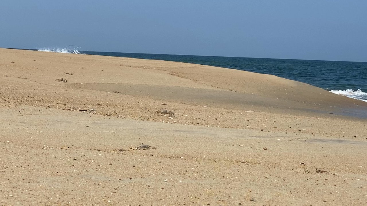 Coquina Beach - Beaches Near Me