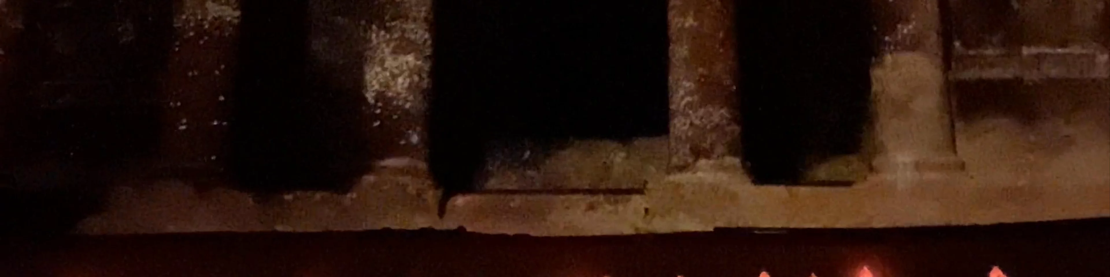 Treasury