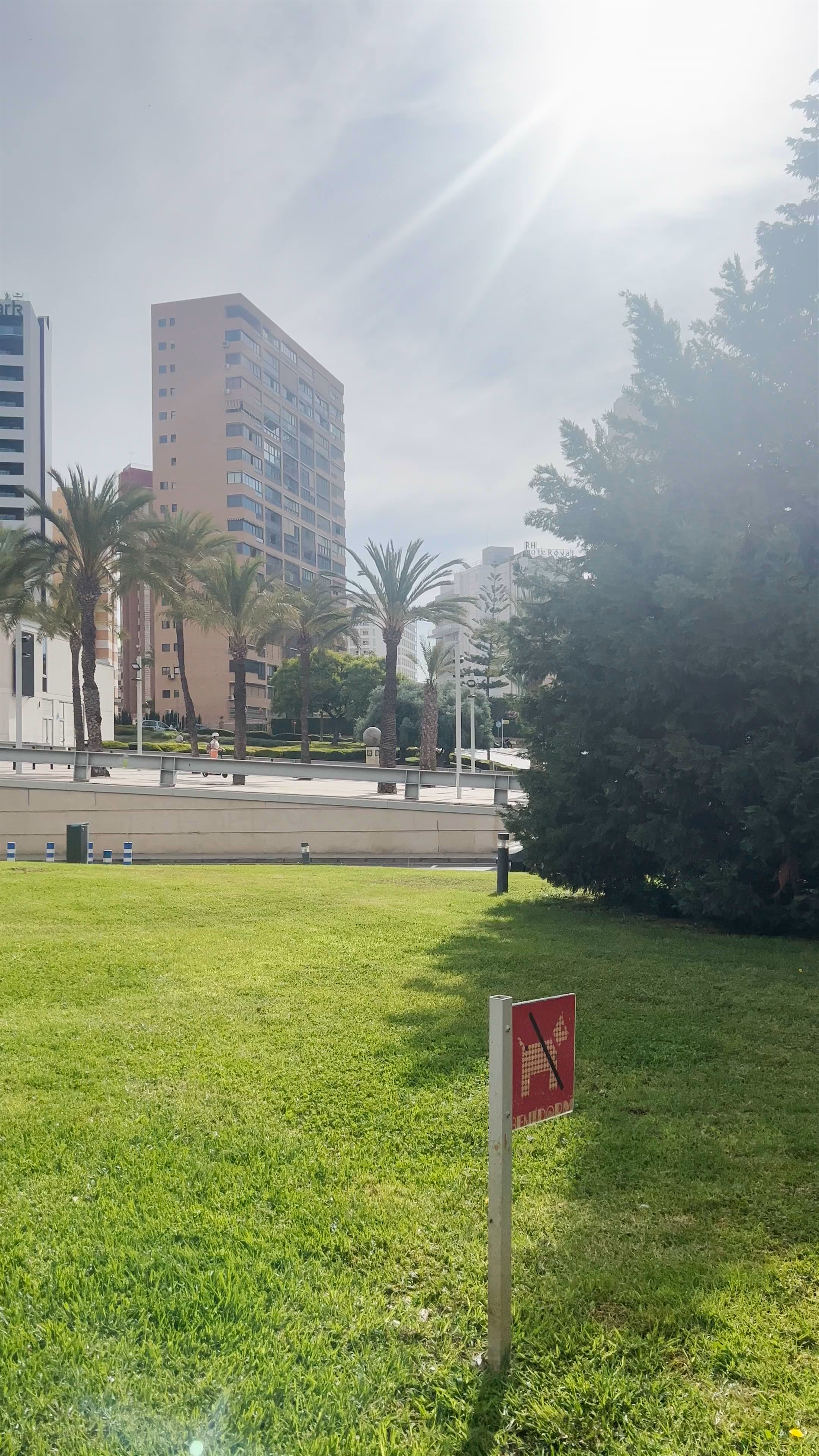 Sunlit Urban Green Space and Modern Architecture in Benidorm