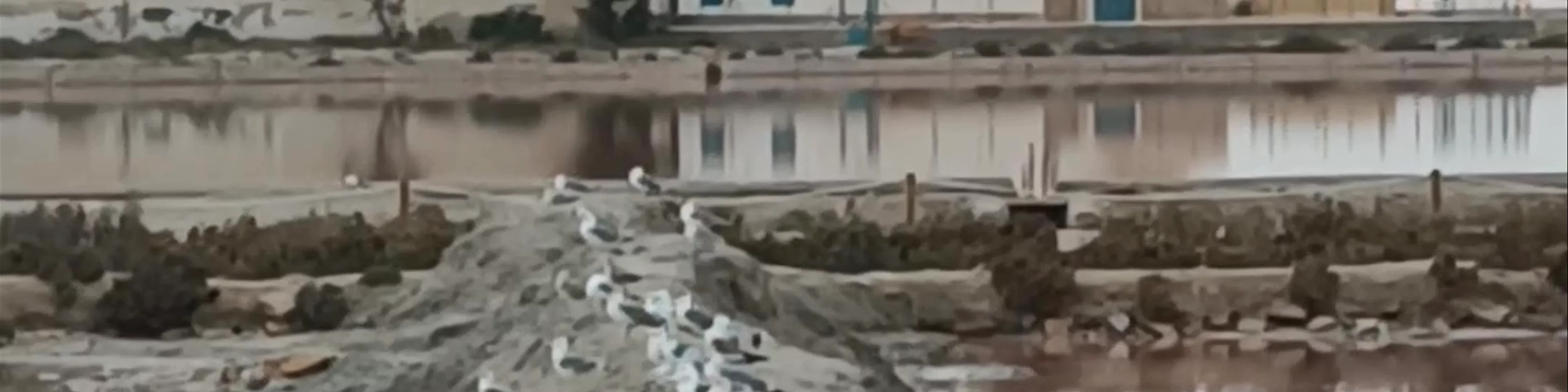 Las Salinas