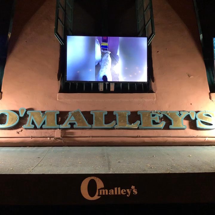 O'Malleys Bar - Sports Bars Near Me - Santa Barbara, California