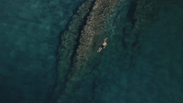 A man swimming and exploring the bottom of the mid-ocean ridge