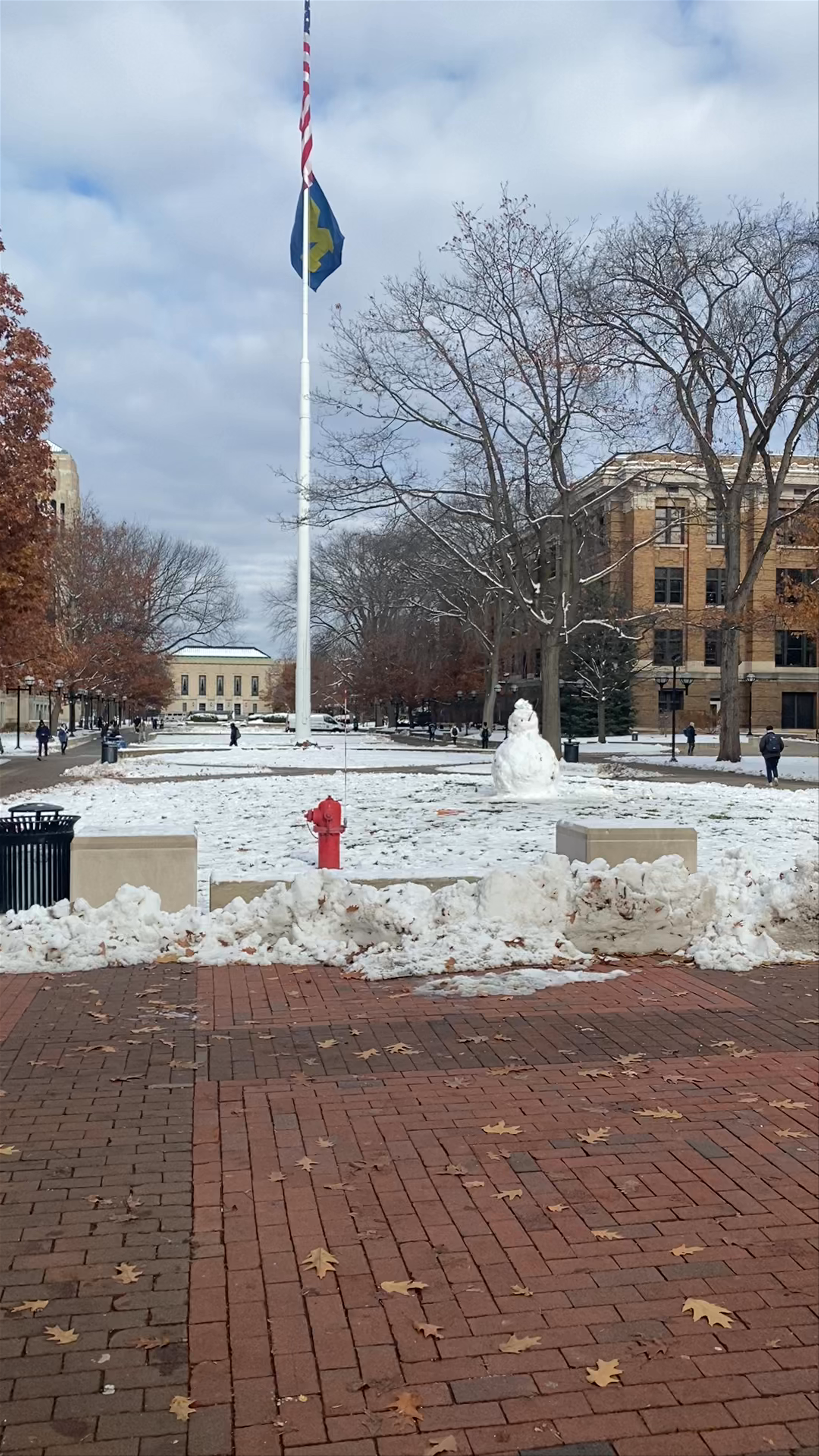 Winter Walk through The Diag, Ann Arbor