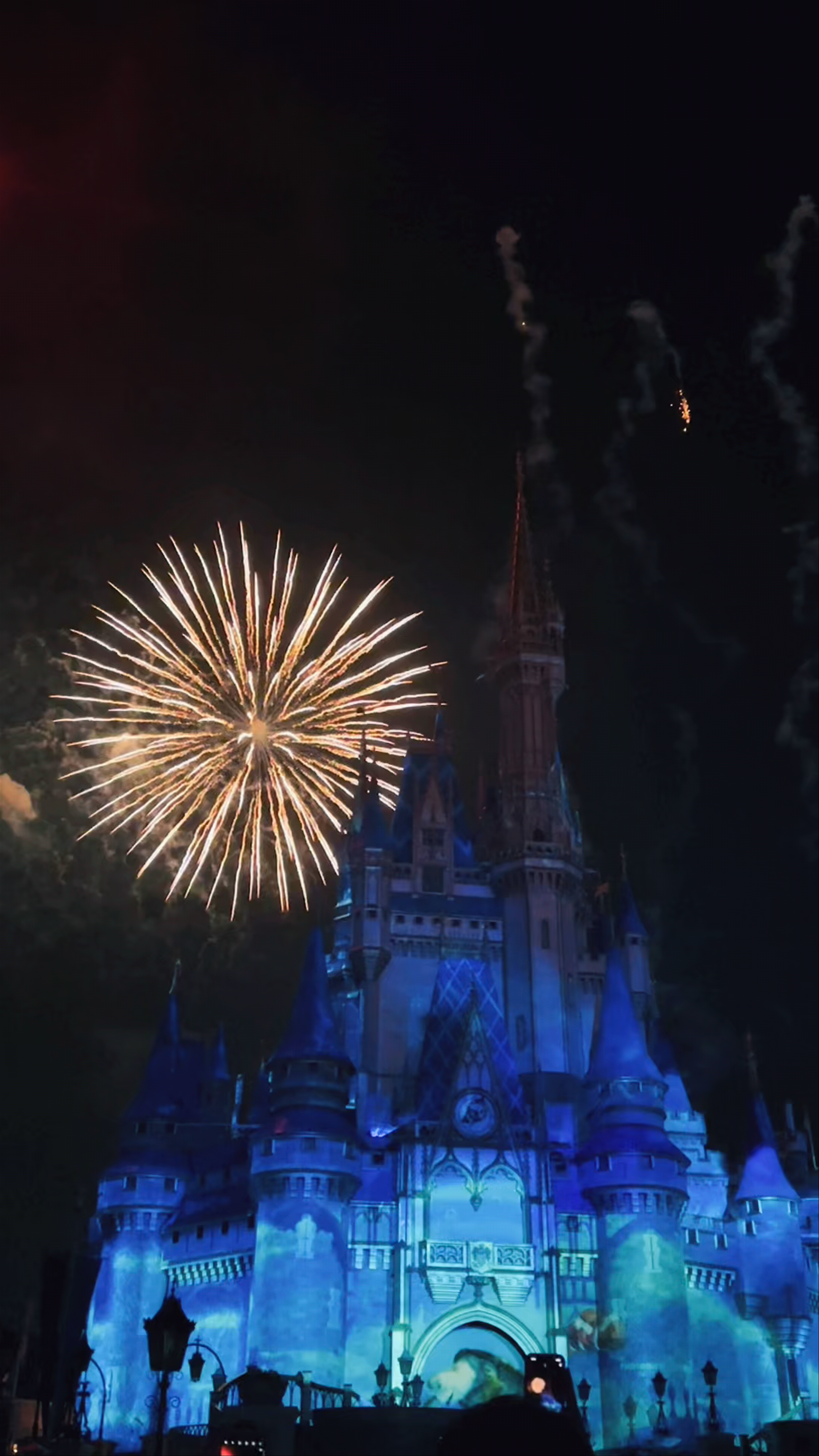 Magical Night Fireworks Over Cinderella Castle at Walt Disney World