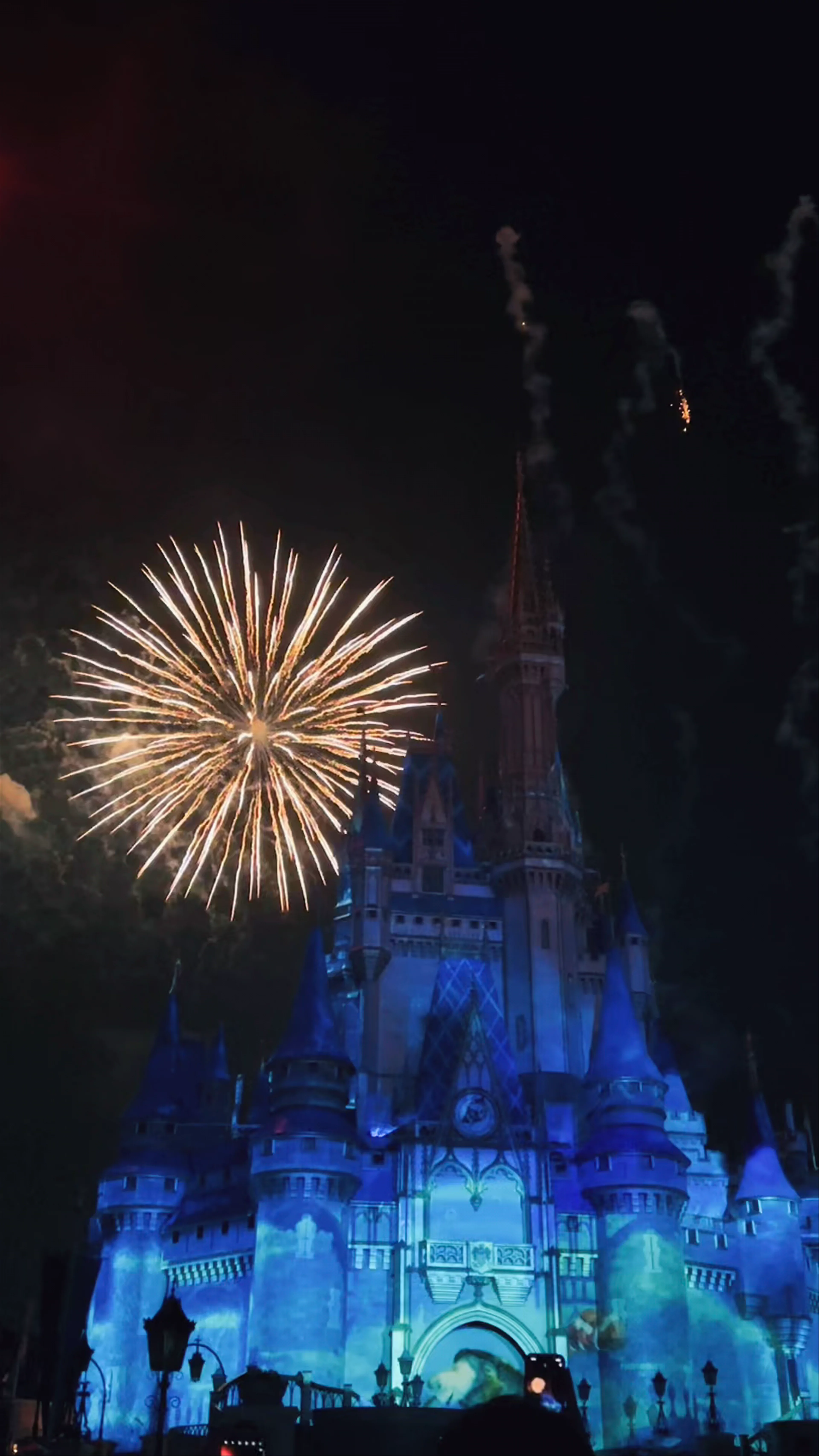 Cinderella Castle