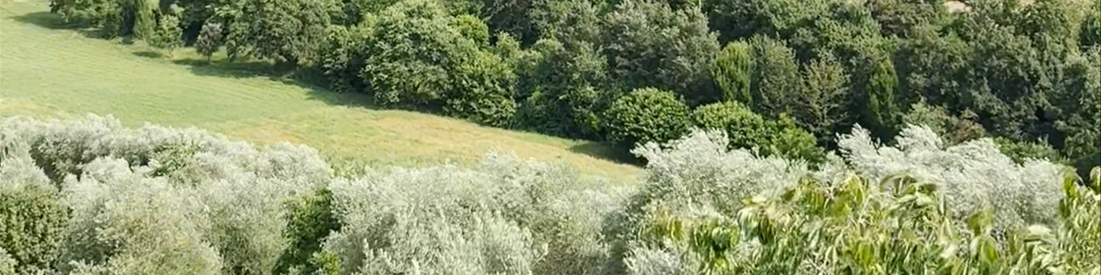 Boboli Gardens