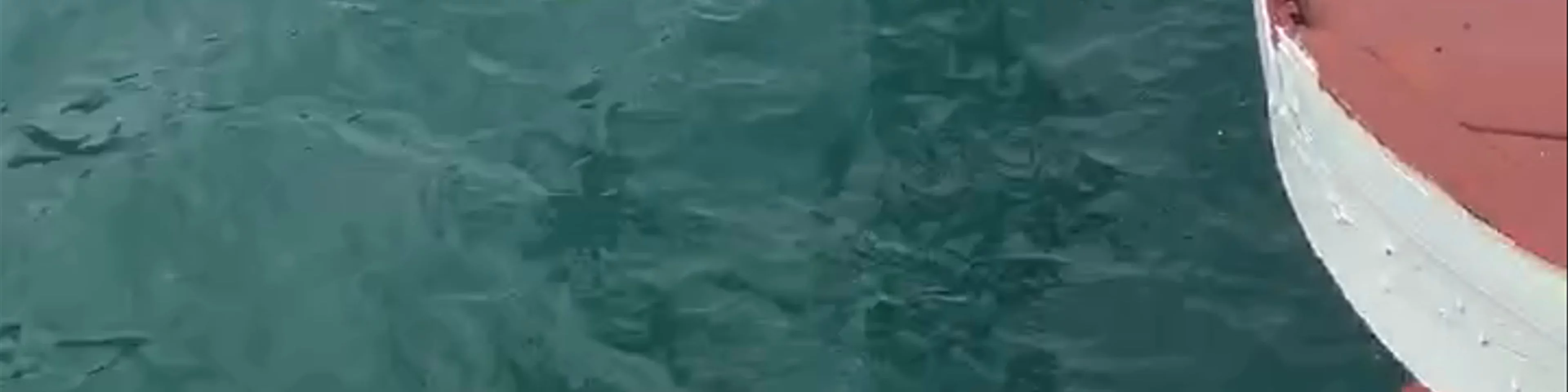 Hạ Long Bay
