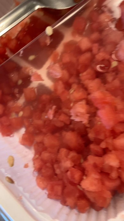 Sunrise Preschools - Giving us old food. The fly has been in there so long, it could no longer fly. I immediately threw it out. - Child Care & Day Care Near Me - Glendale, Arizona