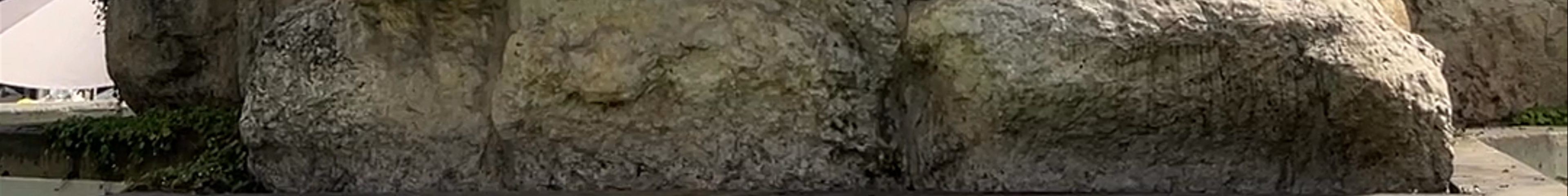 Tours & experiences in Jihomoravský