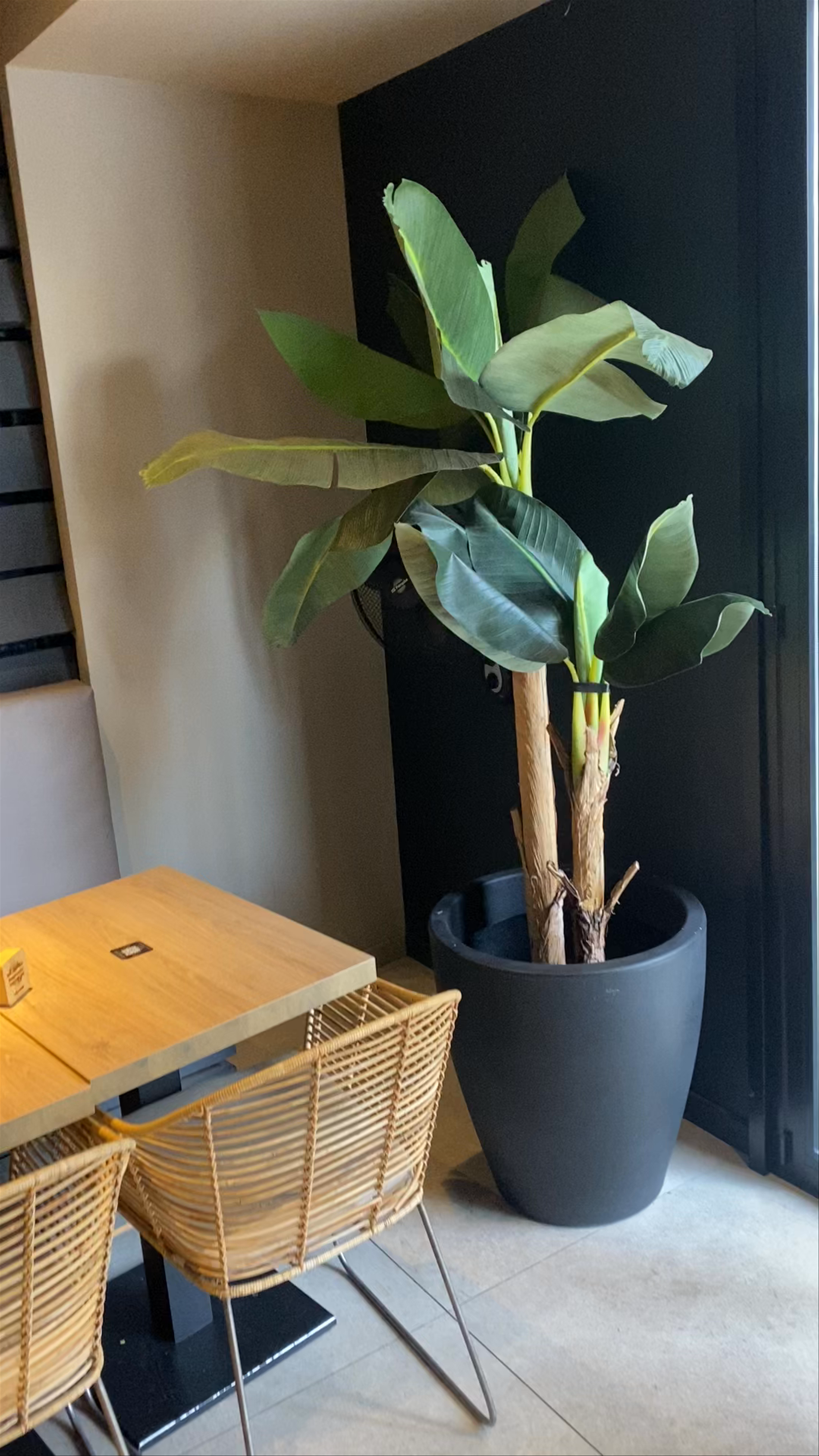 NATUR POKE Palma | Poke Bowl Mallorca