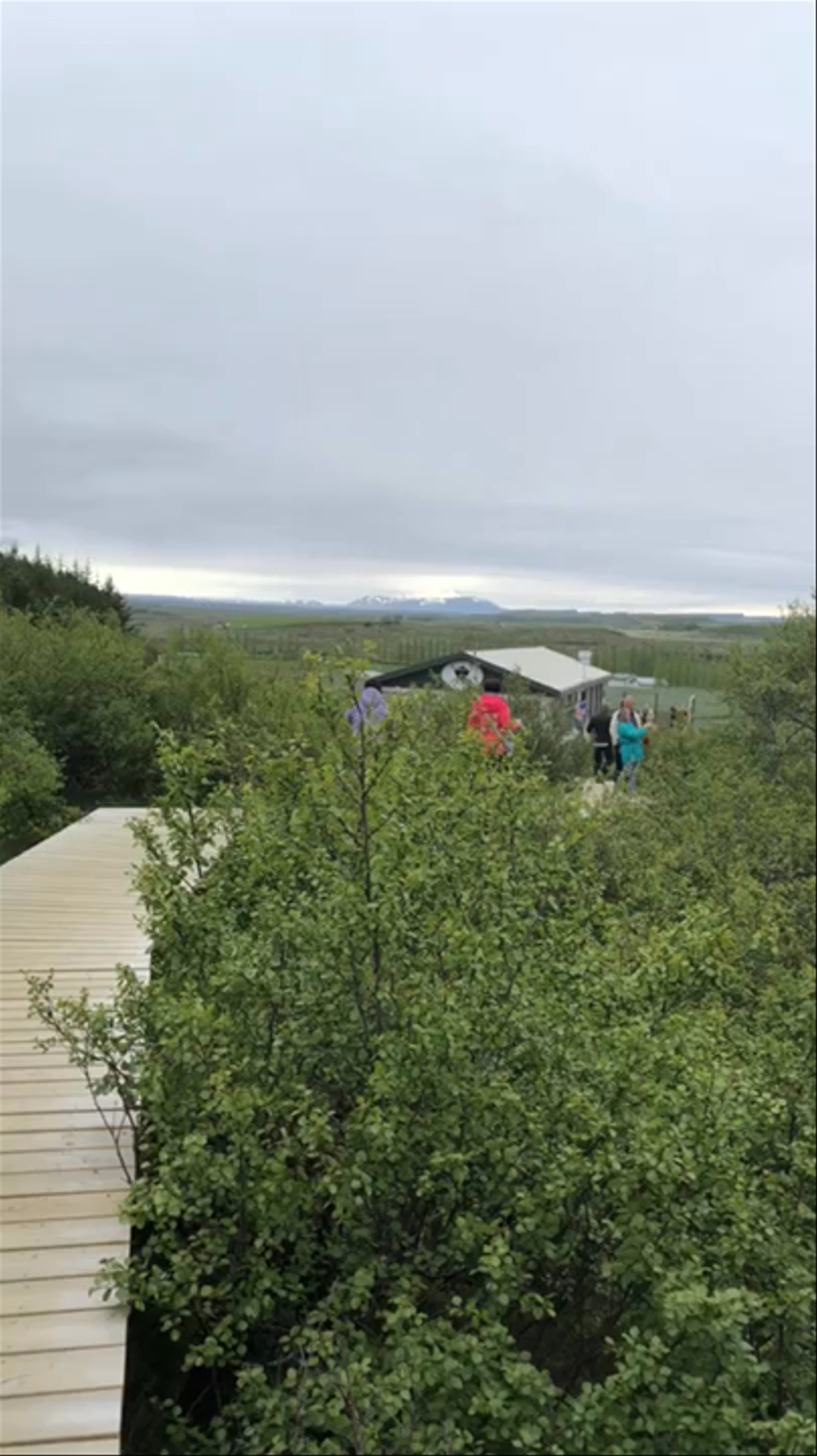 Gullfoss Falls: Majestic Waterfall Escape in Iceland