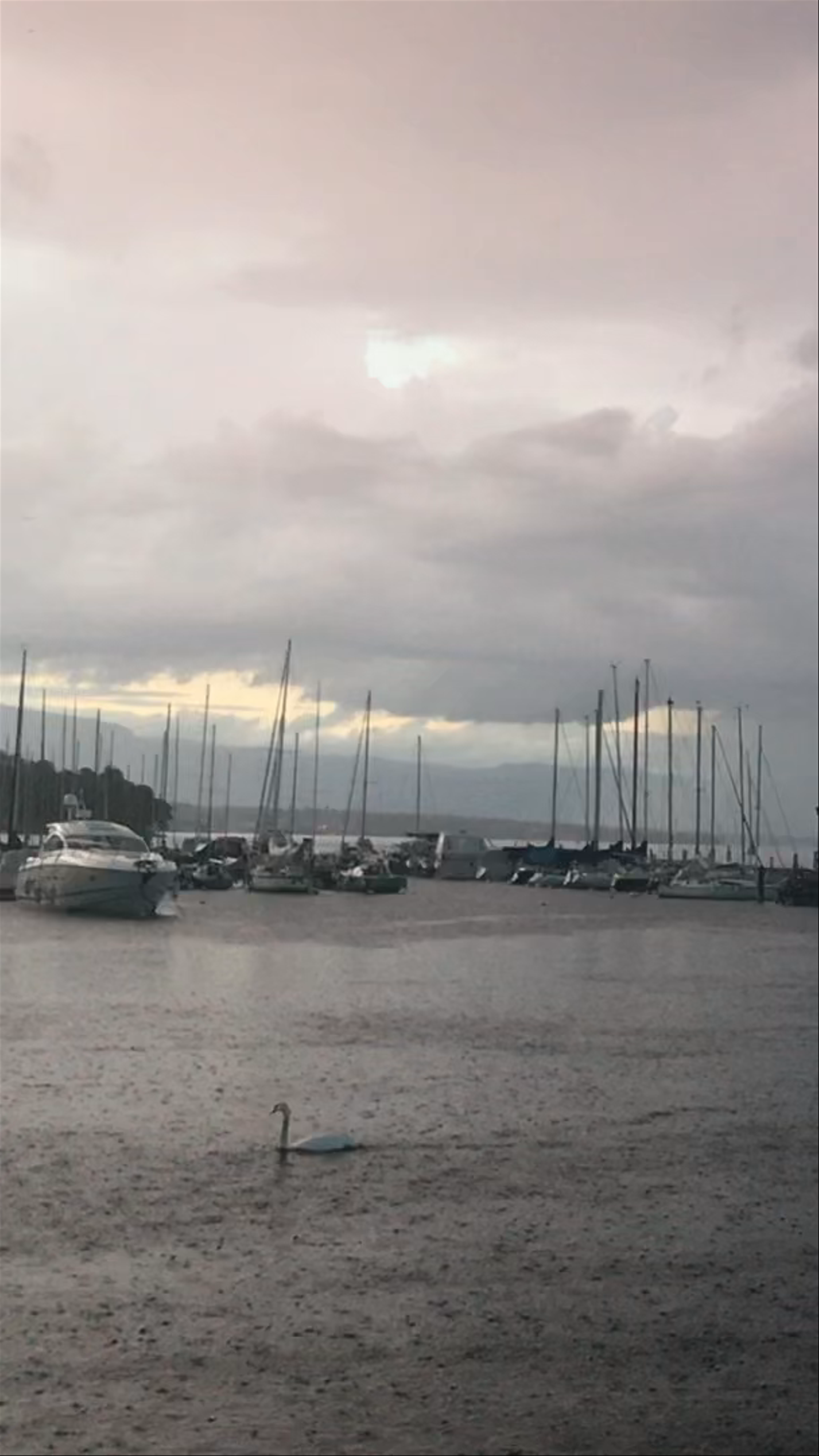 Rainy Evening Serenity at Bains des Pâquis, Geneva
