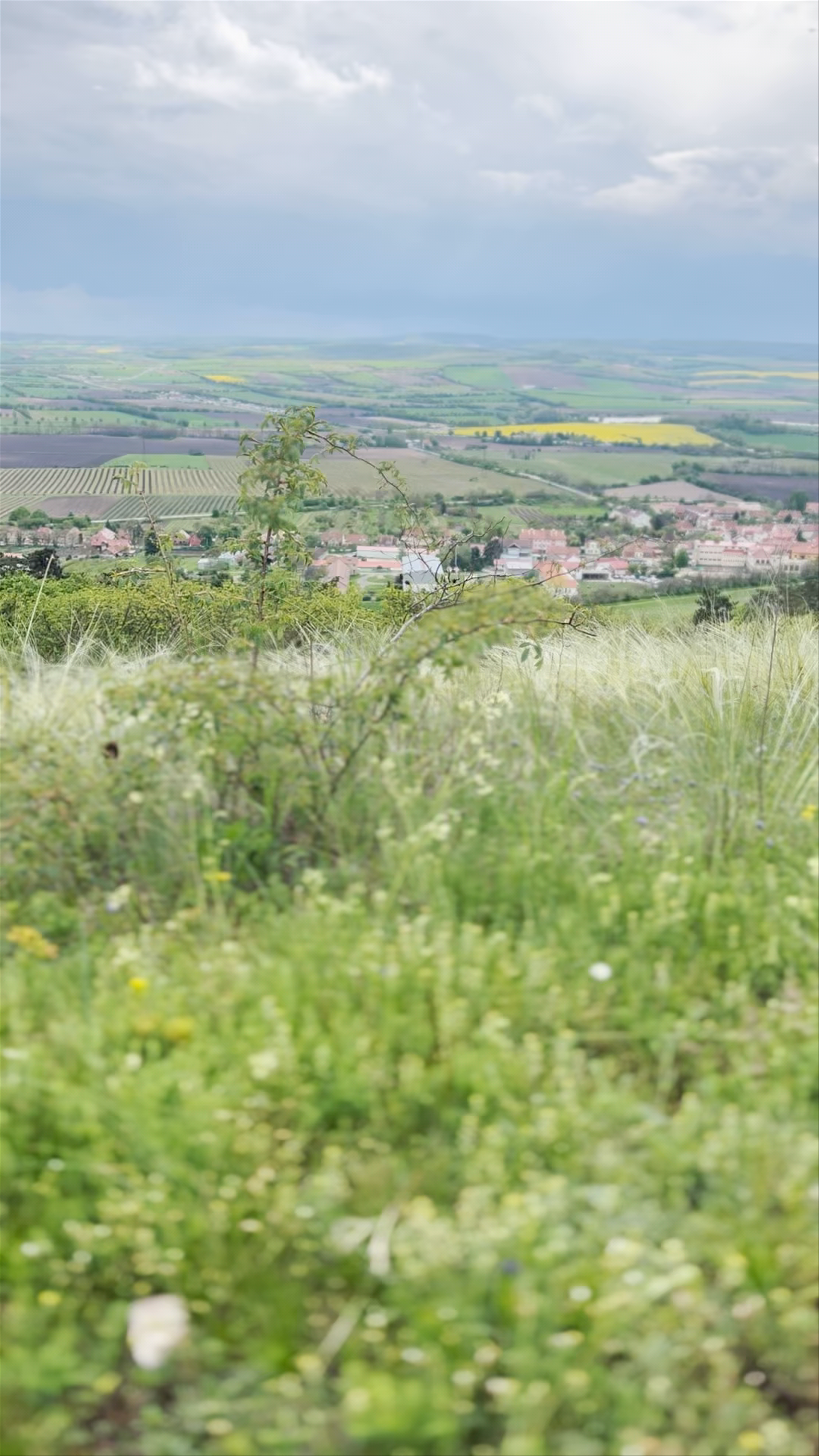 Zvonice Hill Views over Mikulov na Moravě Landscape