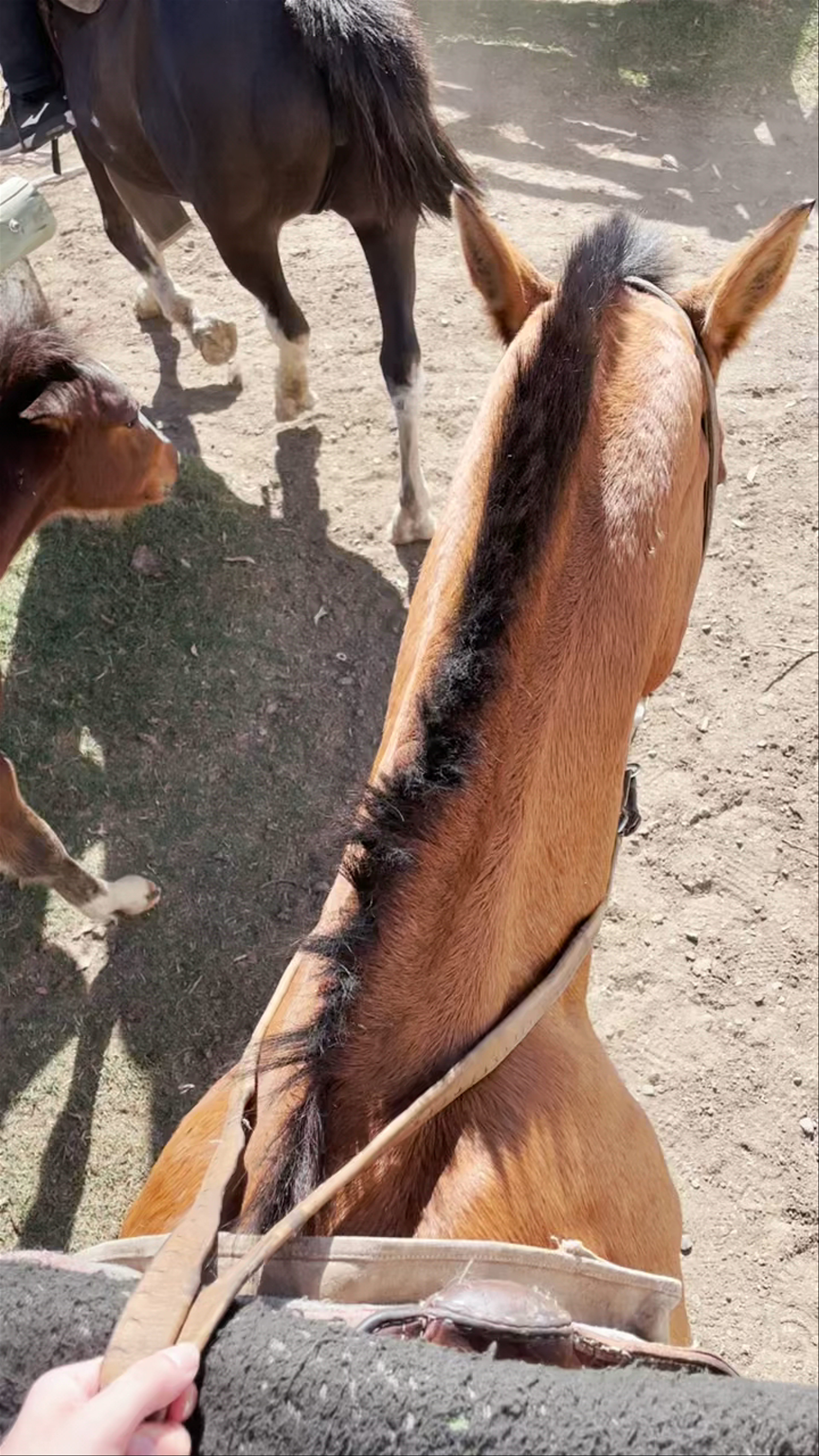 Estancia Don Silvano