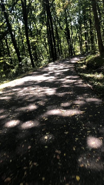 Trace Bikes - Riding my new bike in Percy Warner Park! - Bikes Near Me - Nashville, Tennessee