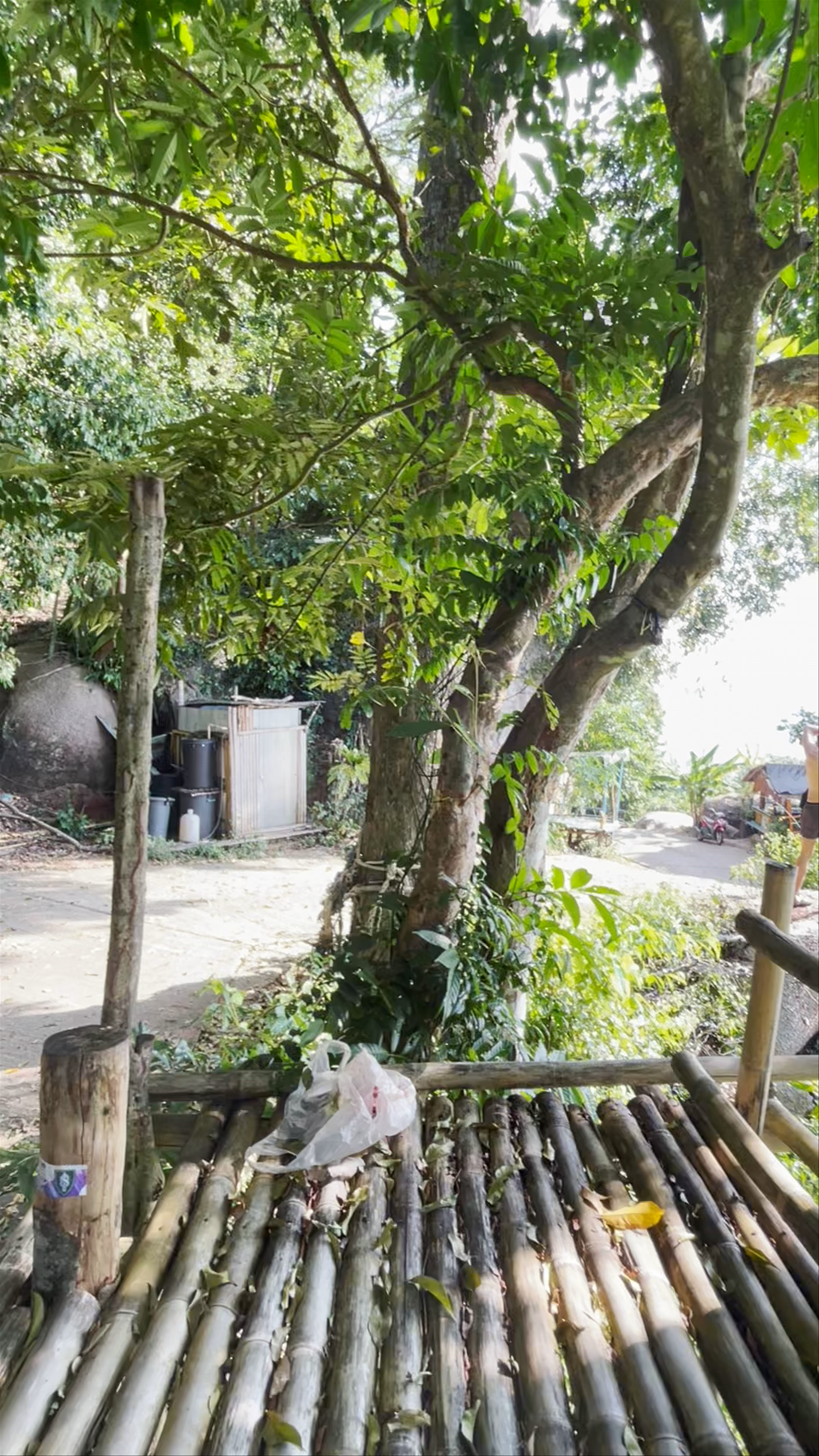 Top Point Koh Tao