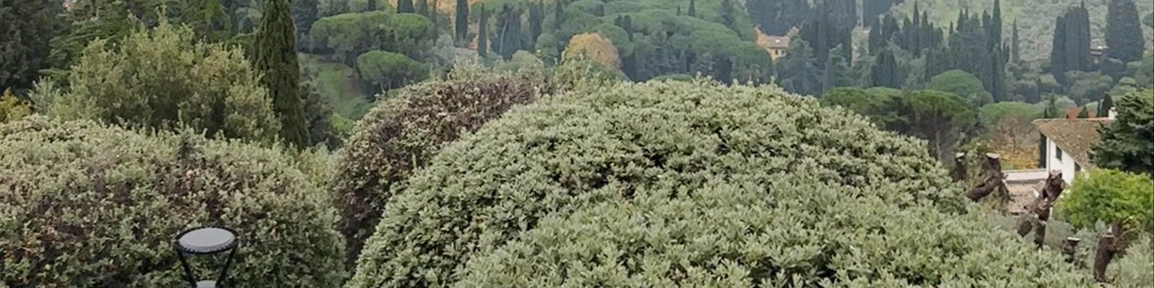 San Francesco Panorama (Fiesole)