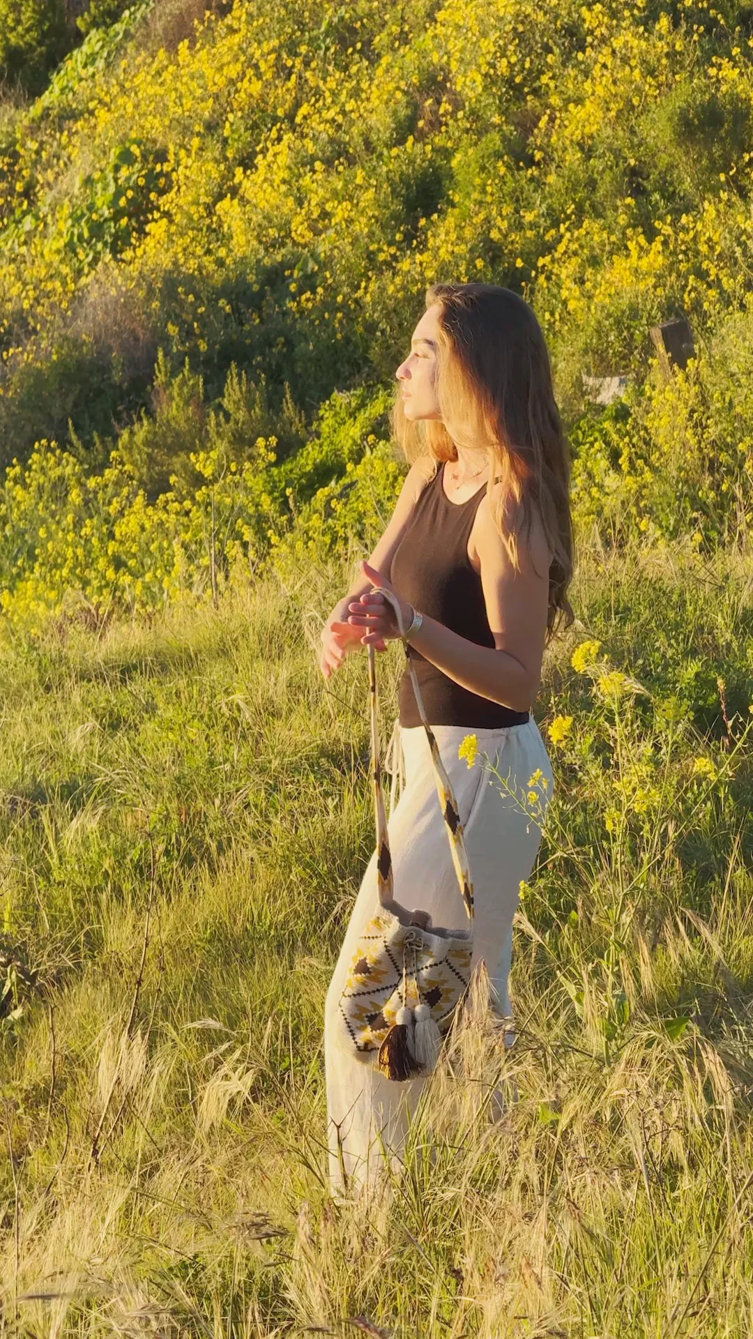 Preview image for video