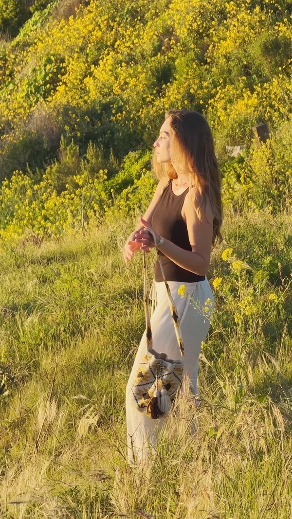 Preview image for video