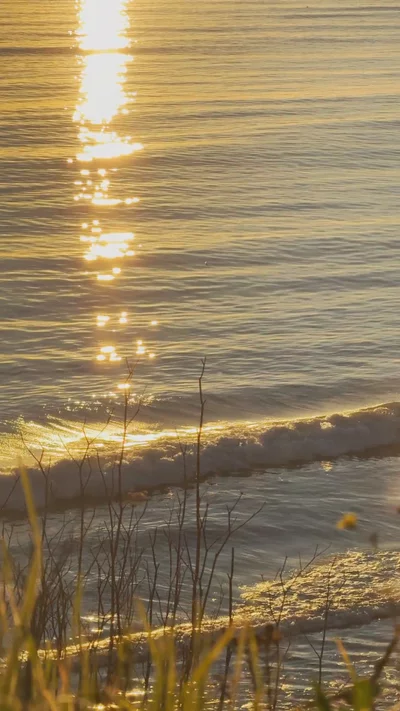 Preview image for video