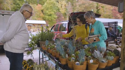 Farmer's Market & Cannery