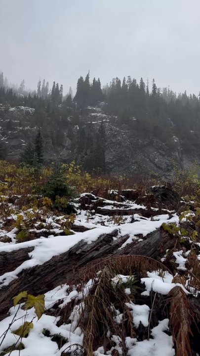 Snow Lake - Hiking Near Me - North Bend, Washington