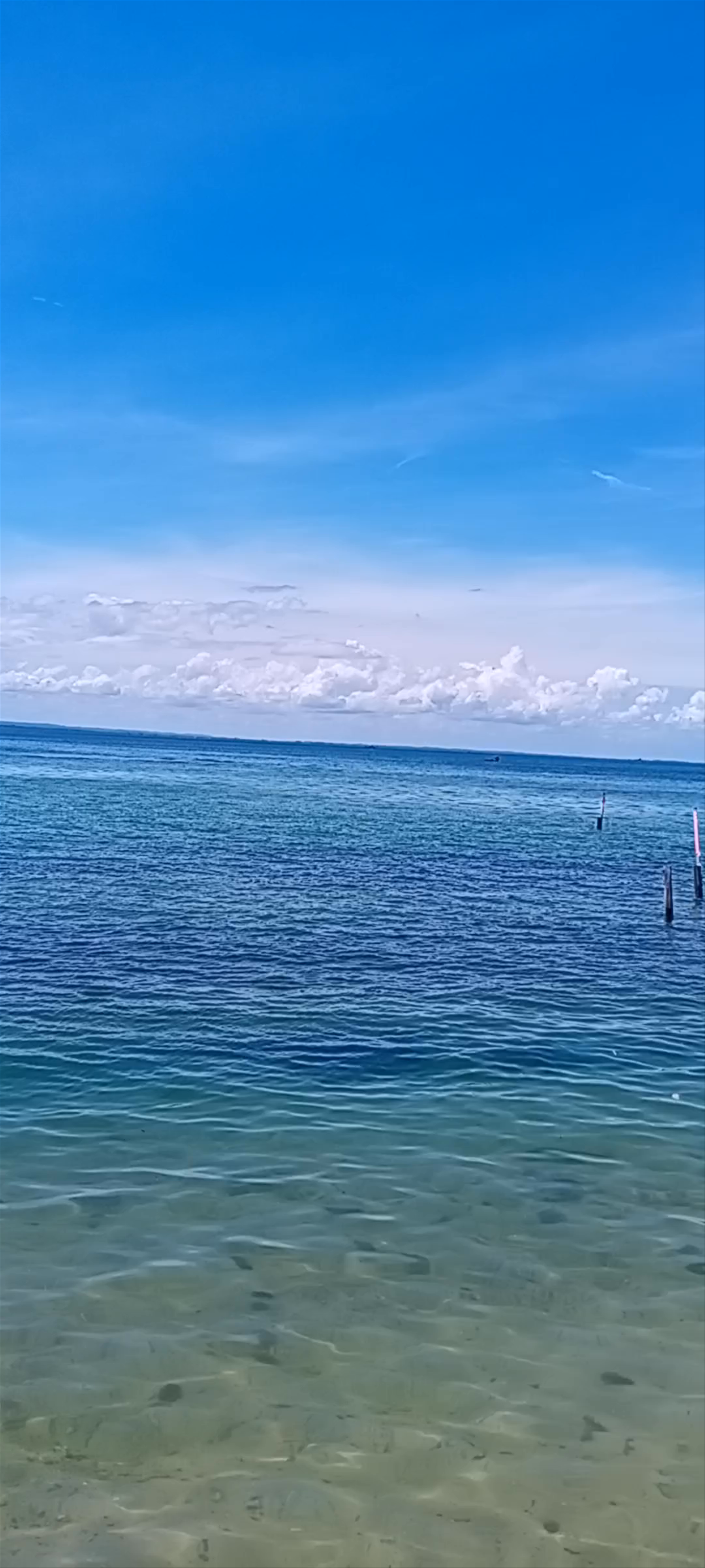 Apartamentos monkey beach - Rua da Praia - Gamboa do