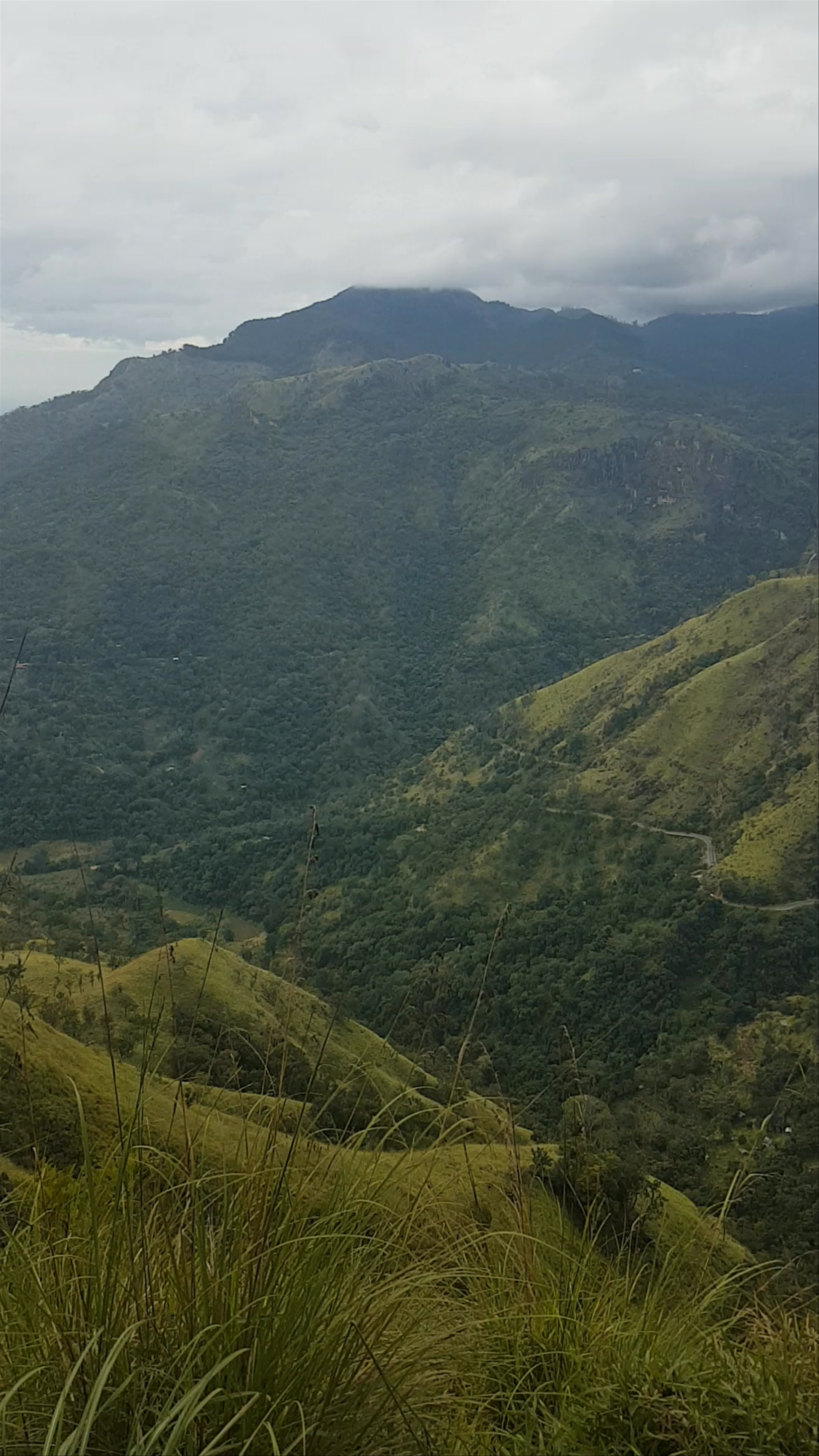 Hiking the Scenic Trails of Little Adam's Peak, Ella, Sri Lanka