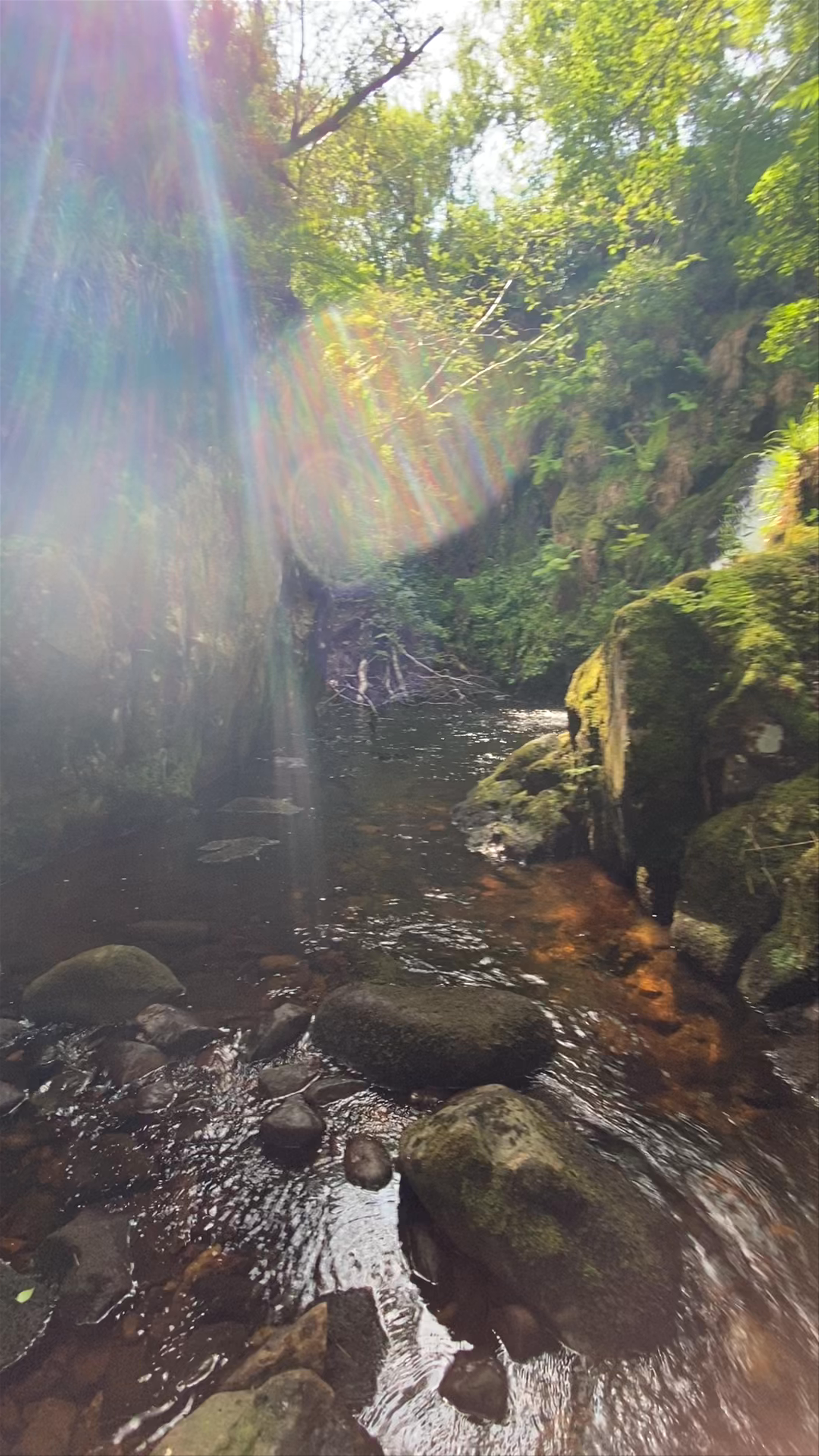 Linhope Spout Waterfall