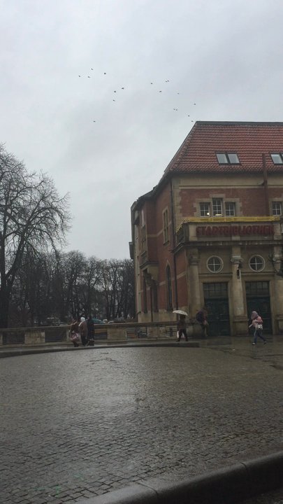 Rathaus Spandau - Town Hall Near Me - Berlin, BE