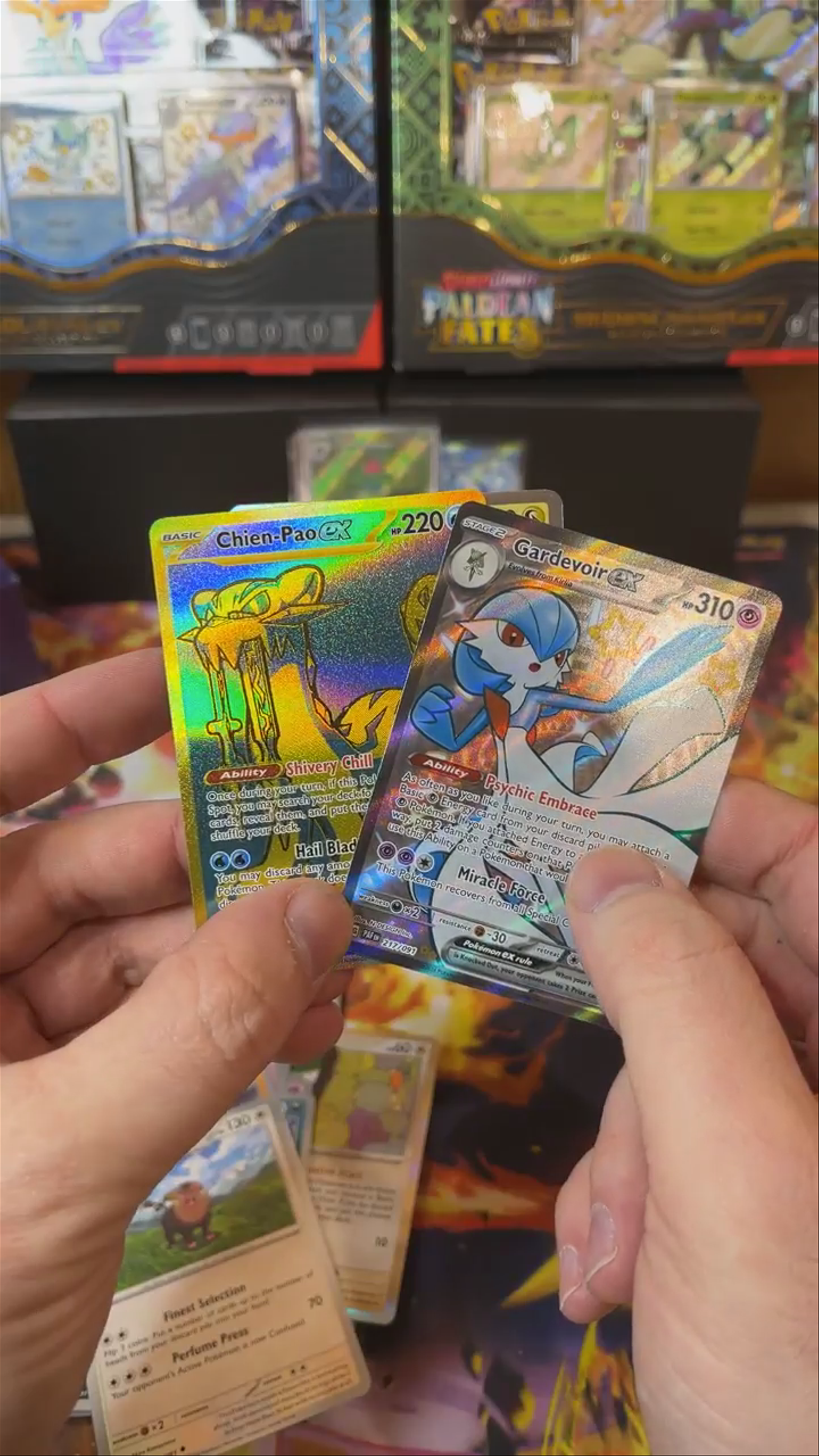 Pokemon Day 2024 Hit #2 