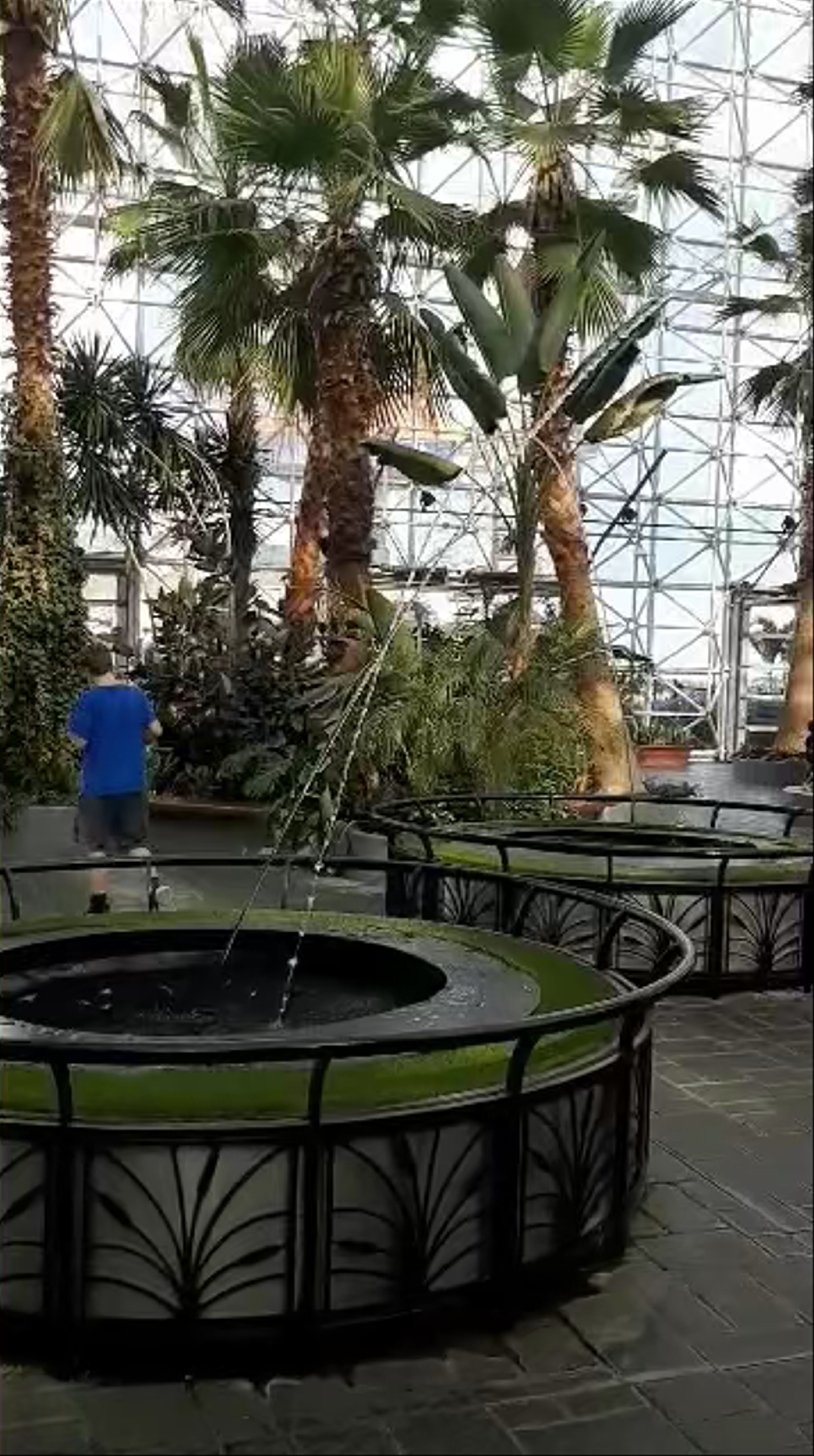 Serene Jungle Oasis at The Crystal Gardens, Navy Pier Chicago