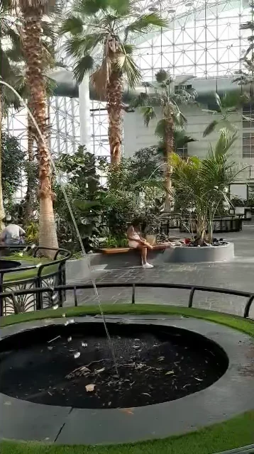 The Crystal Gardens