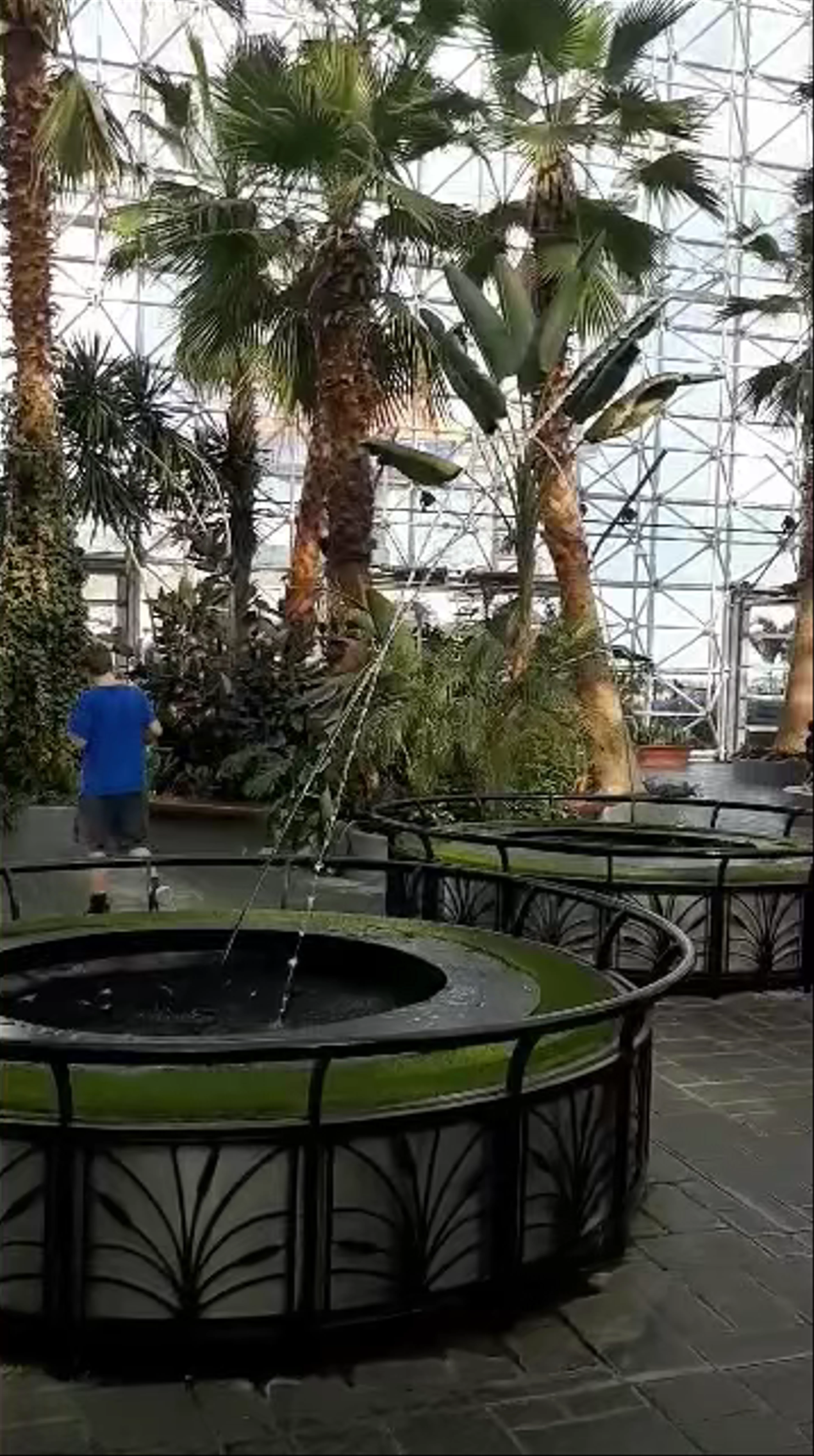 The Crystal Gardens, Navy Pier
