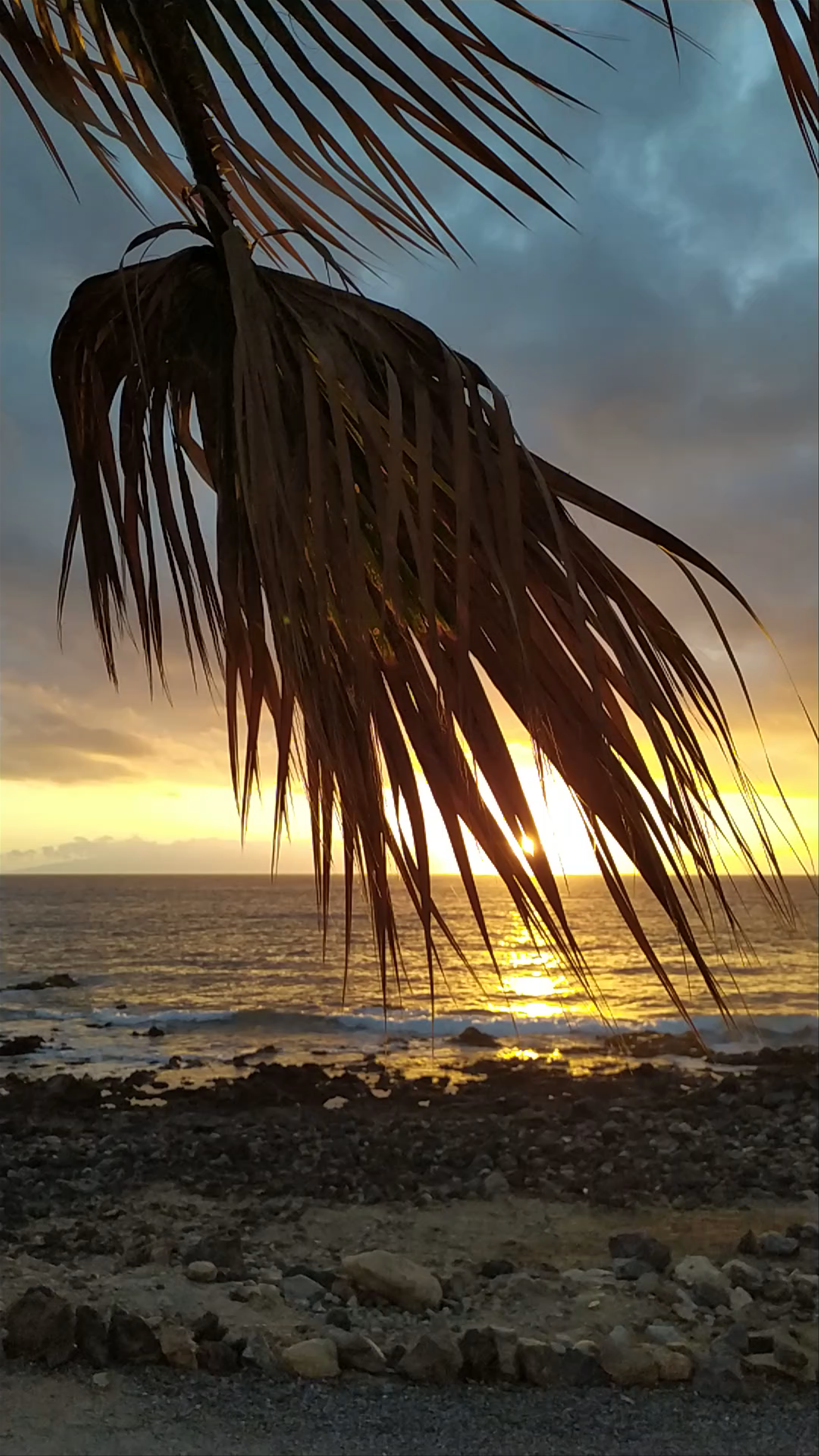 Bahía Beach Palm-Mar: Sunset Serenity on the Canarian Coast