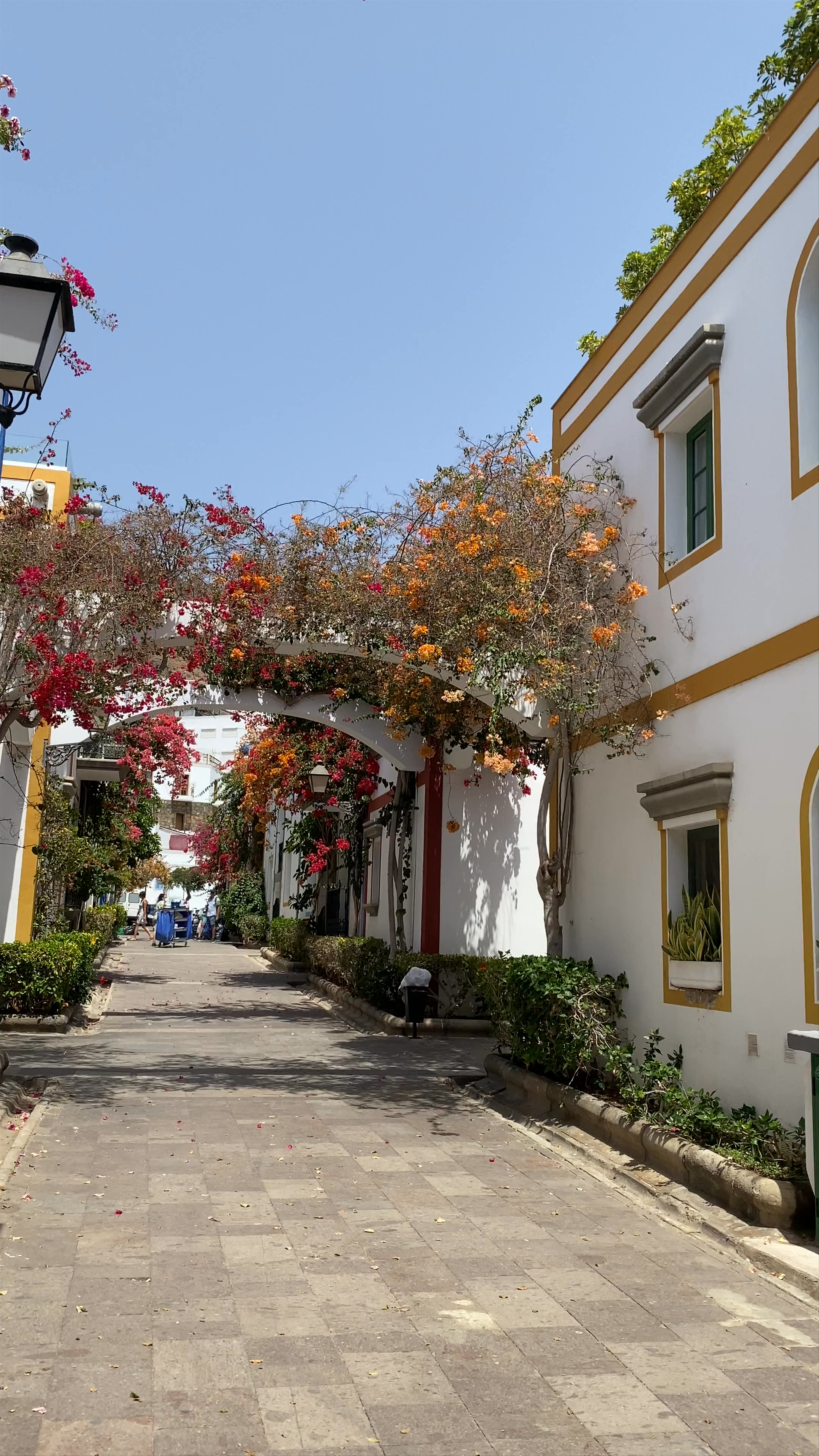 Sunlit Streets and Seaside Charm of Puerto de Mogán, Lomo Quiebre
