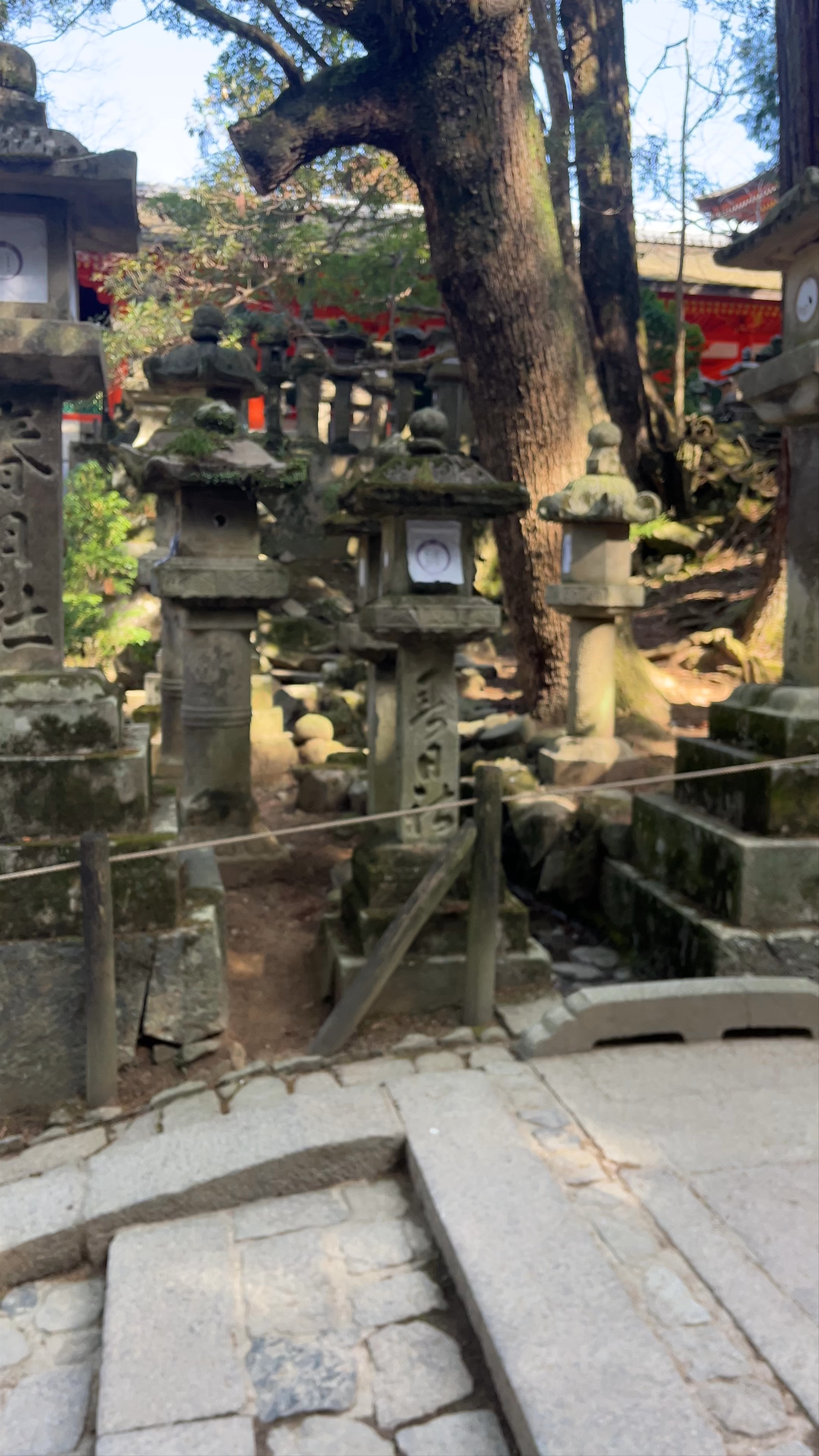 Meoto Daikokusha