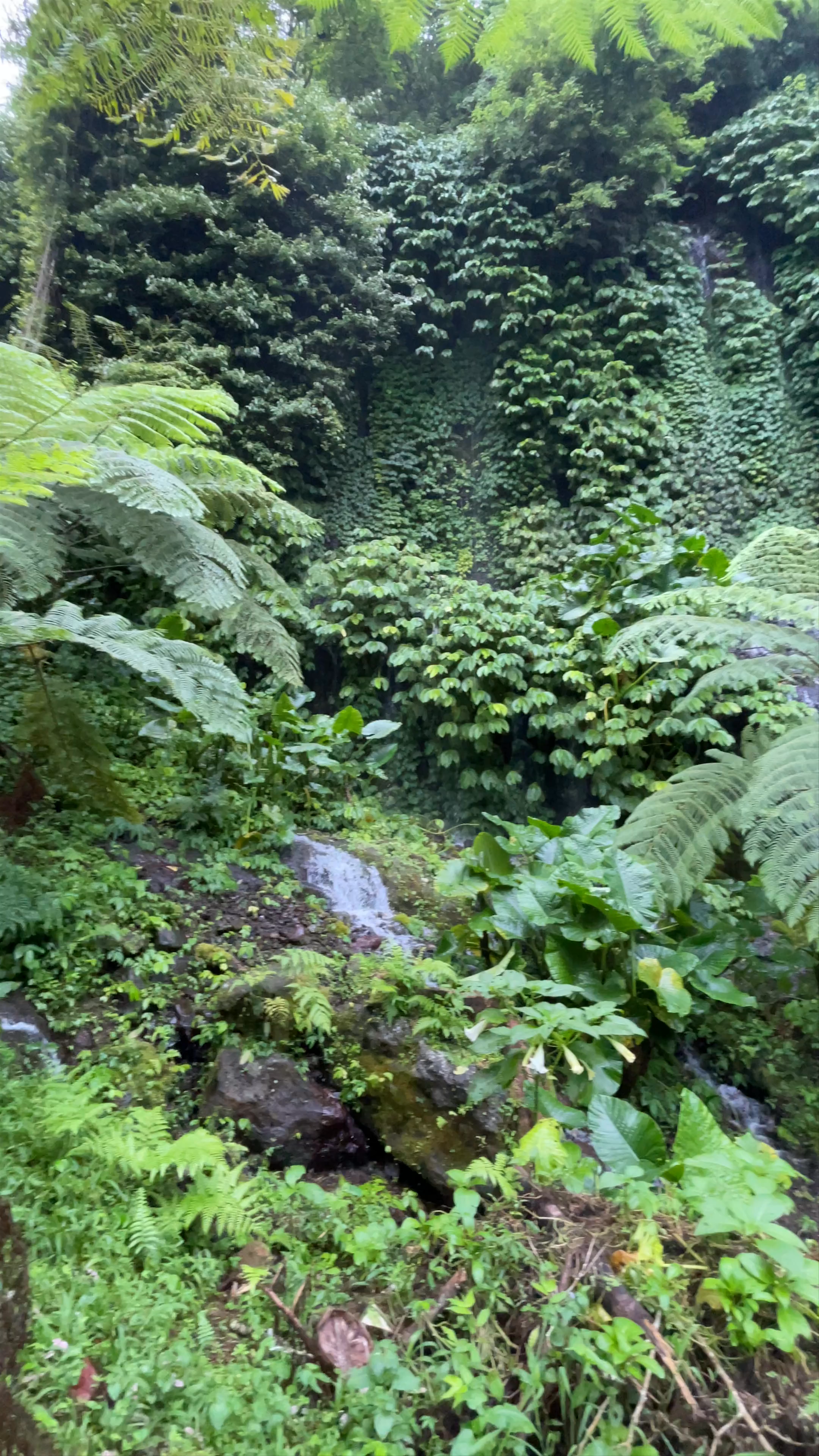 Banyumala Waterfall: Lush Tropical Escape in Bali's Hidden Gem